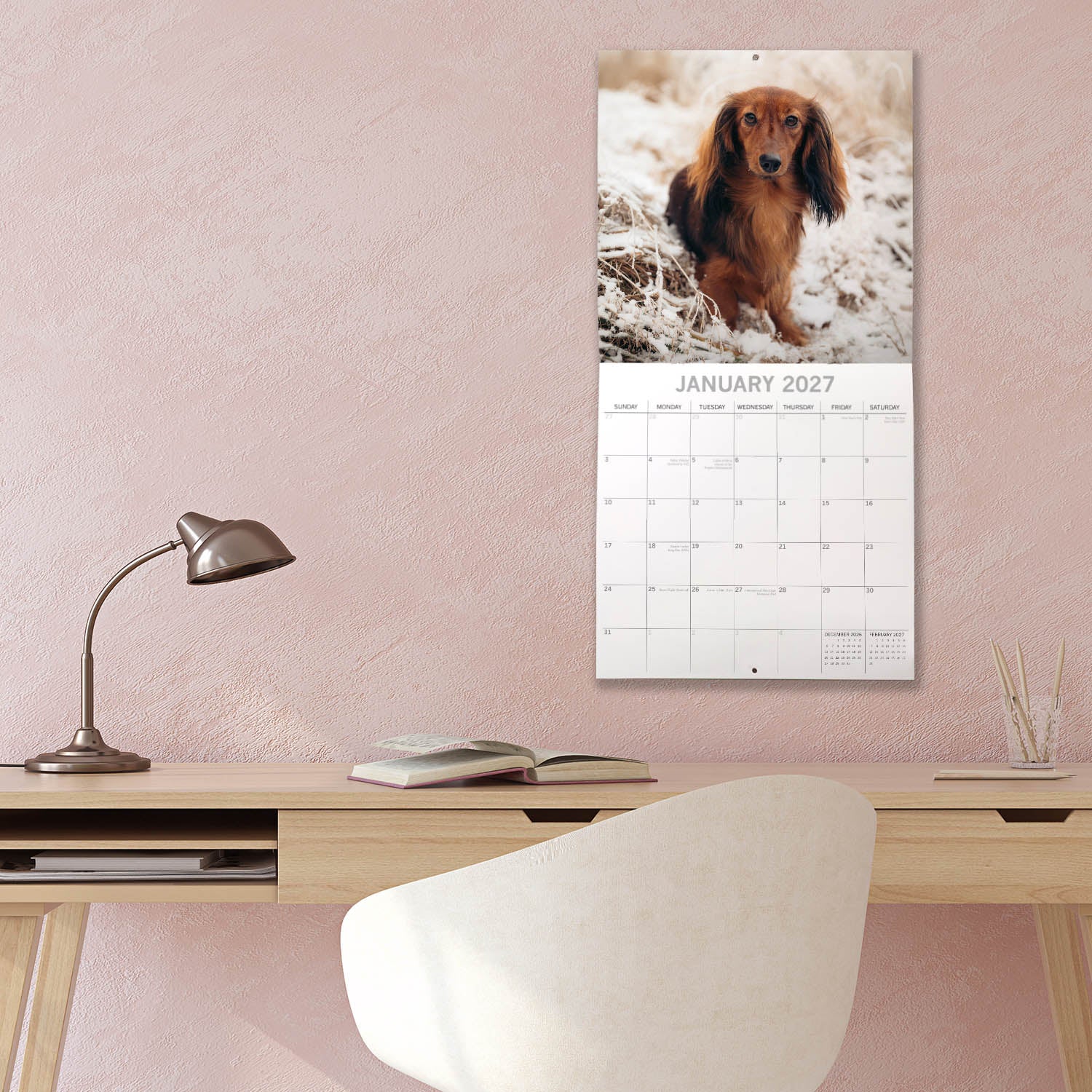 Animals_Dogs_Dachshunds_2027_Jan_LS.jpg