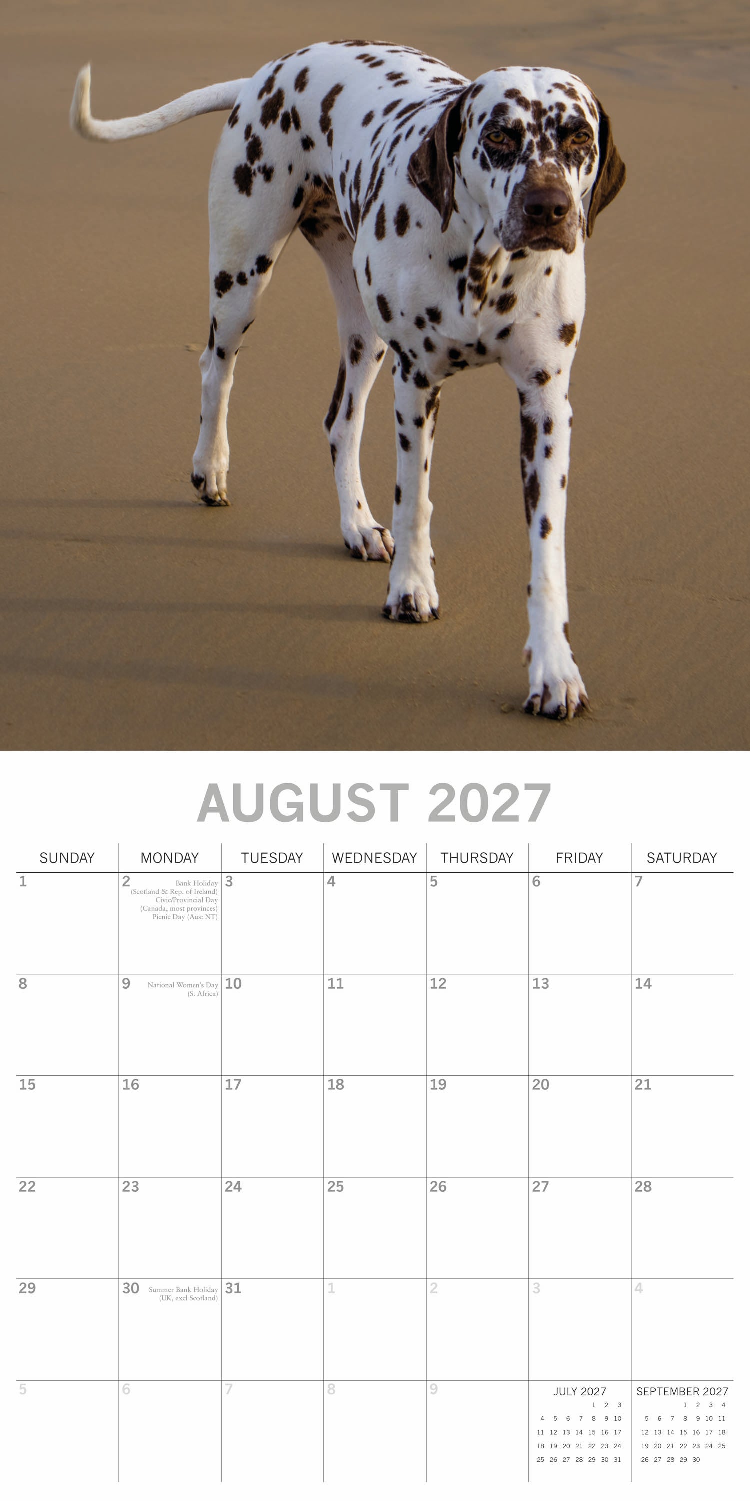 Animals_Dogs_Dalmatians_2027_Aug.jpg