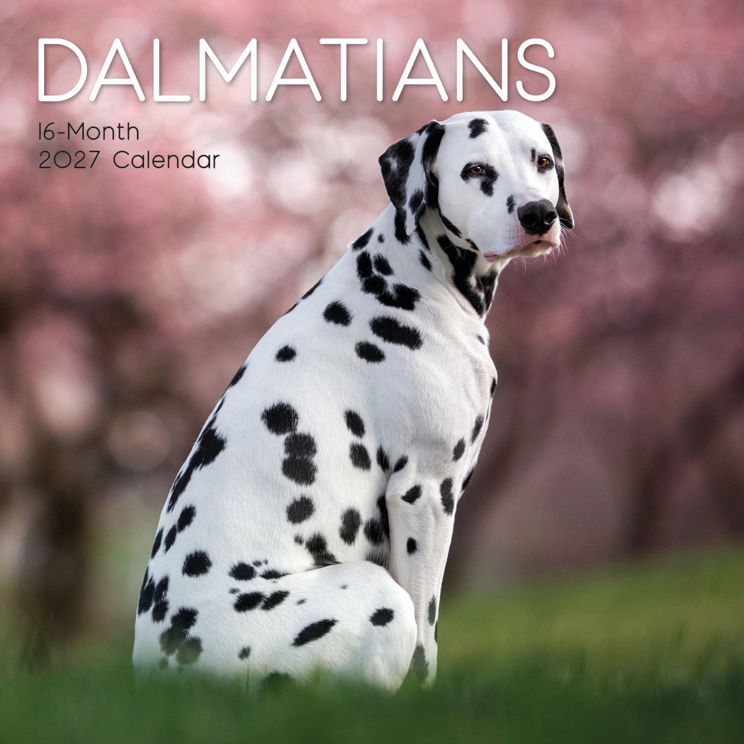 Animals_Dogs_Dalmatians_2027_Cover.jpg