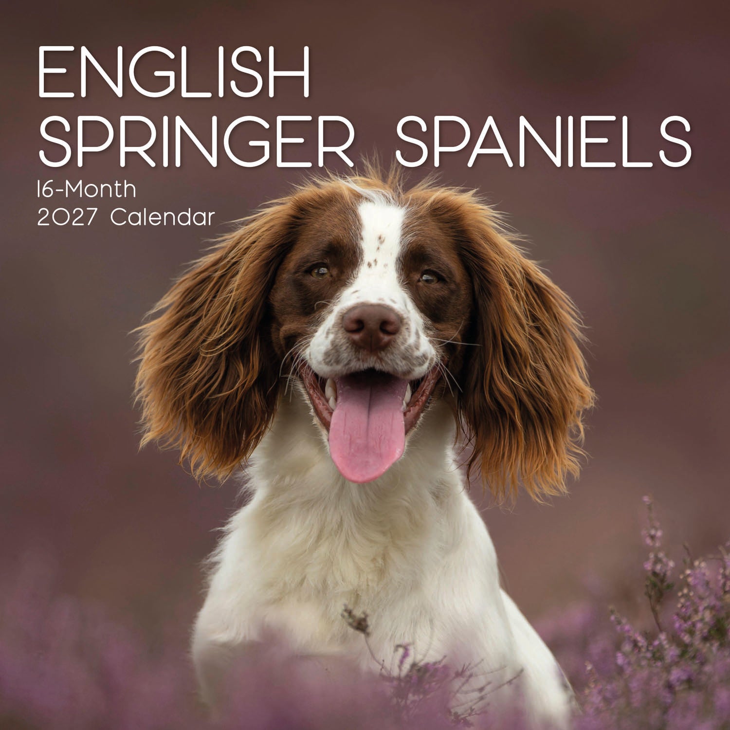 Animals_Dogs_English_Springer_Spaniel_2027_Cover.jpg
