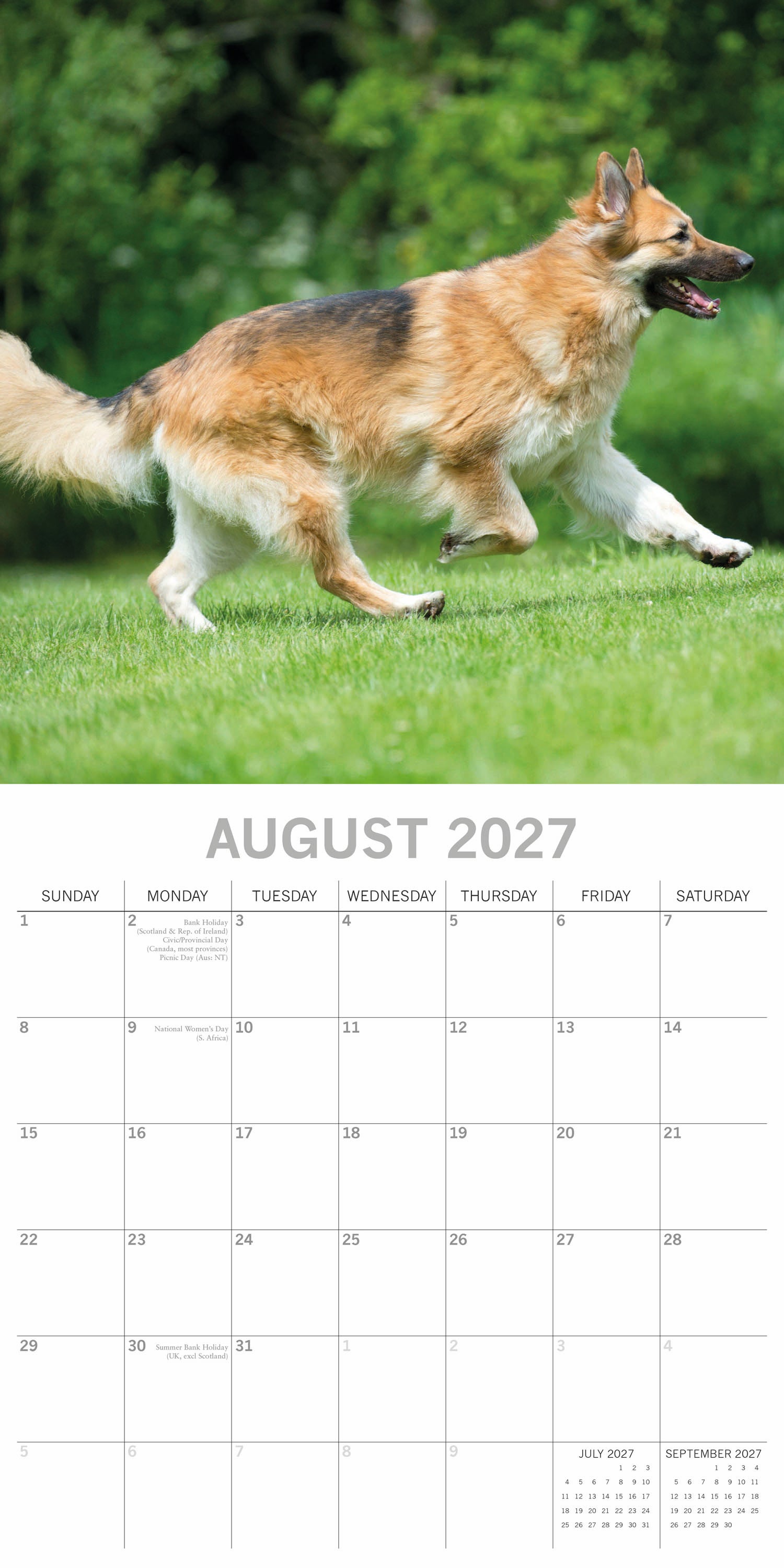 Animals_Dogs_German_Shepherds_2027_Aug.jpg