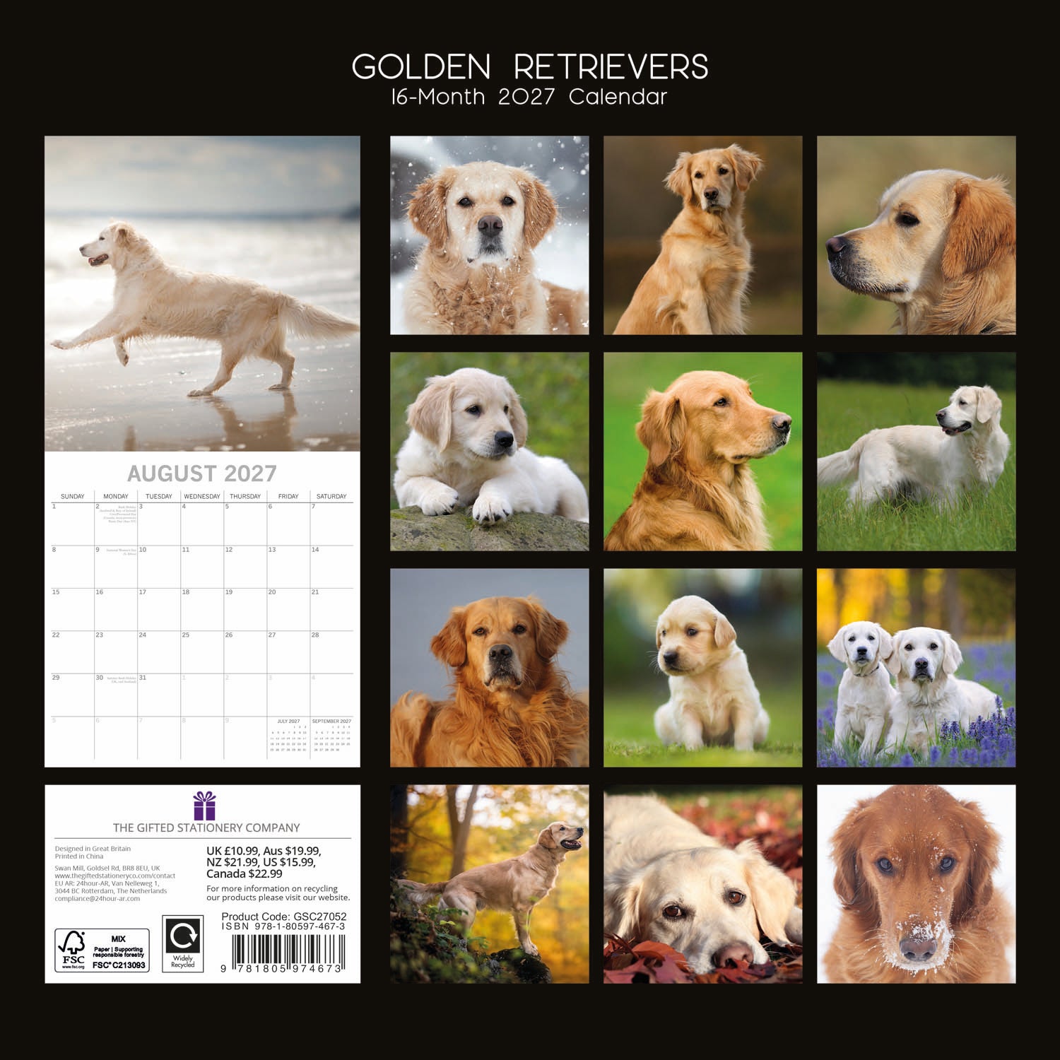 Animals_Dogs_Golden_Retrievers_2027_Back.jpg