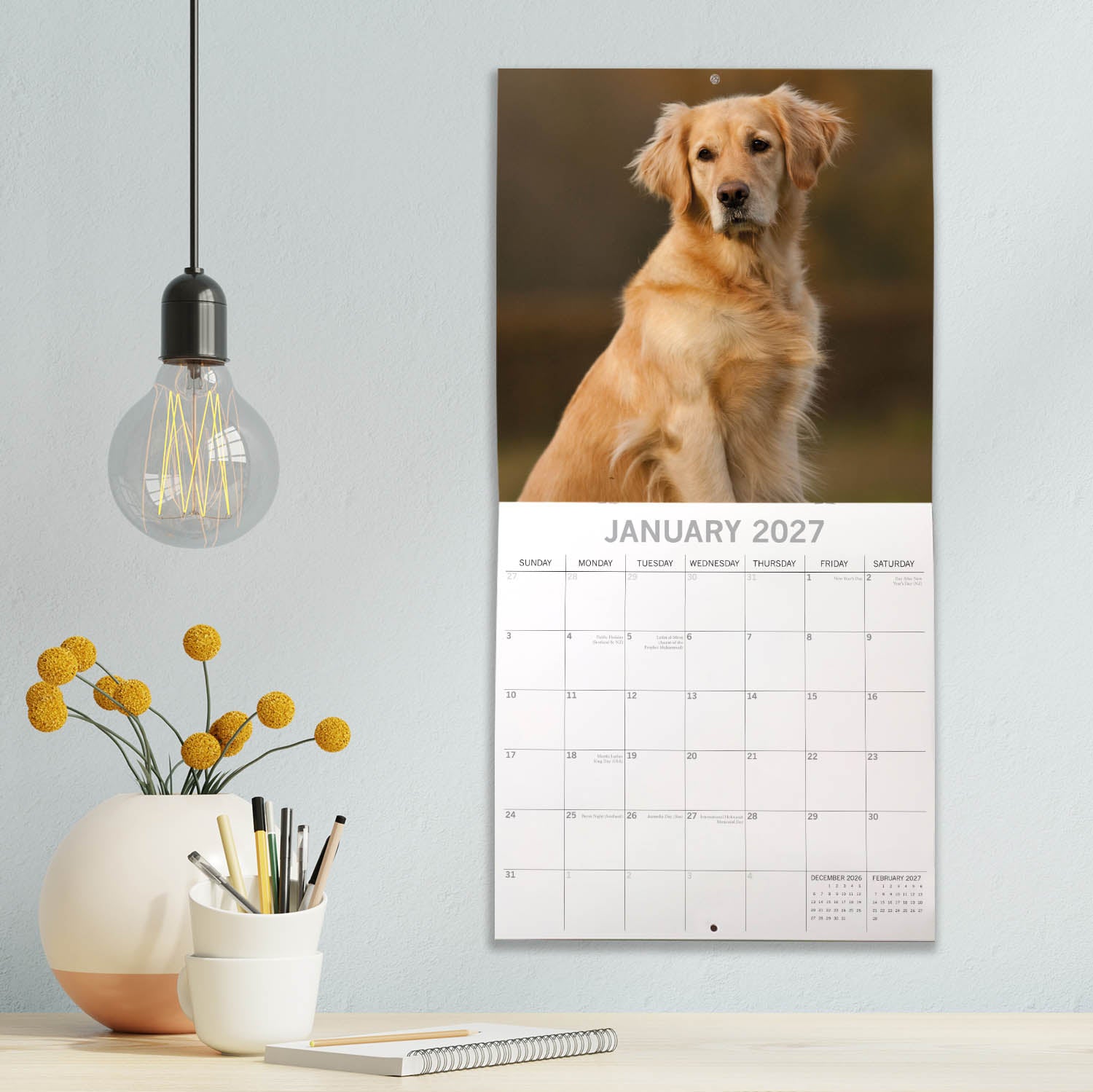 Animals_Dogs_Golden_Retrievers_2027_Jan_LS.jpg