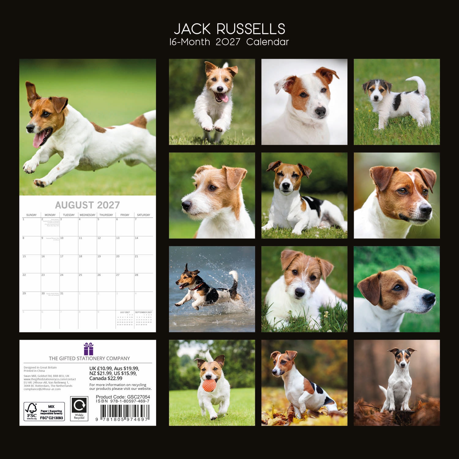 Animals_Dogs_Jack_Russells_2027_Back.jpg