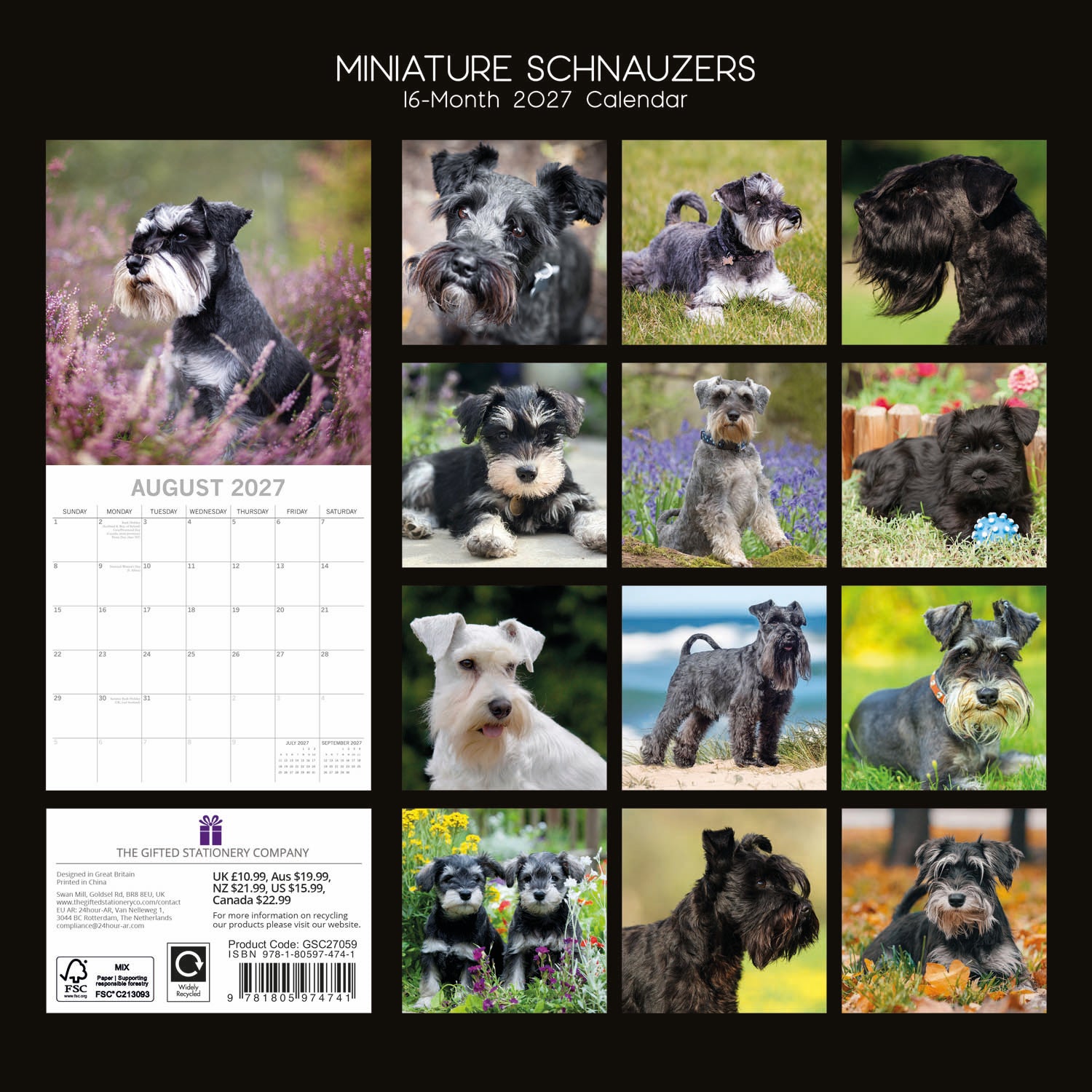 Animals_Dogs_Miniature_Schnauzers_2027_Back.jpg