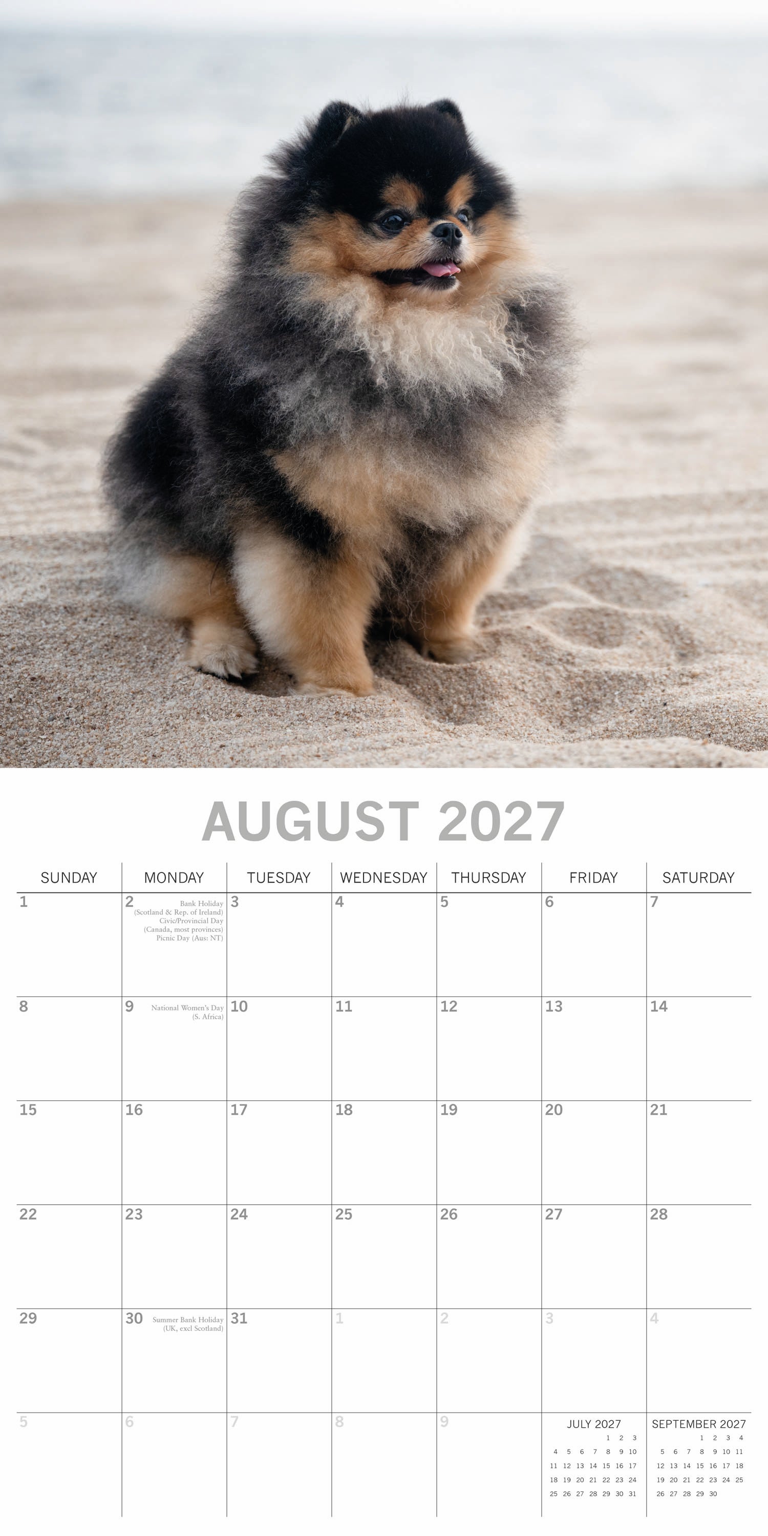 Animals_Dogs_Pomeranians_2027_Aug.jpg