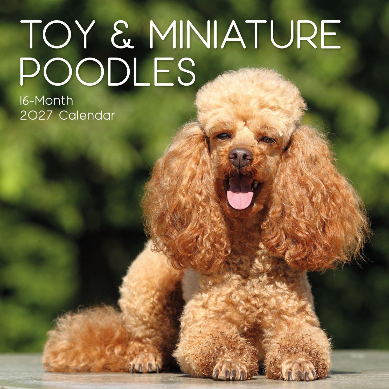 Animals_Dogs_Poodles-Toy_and_Miniature_2027_Cover.jpg