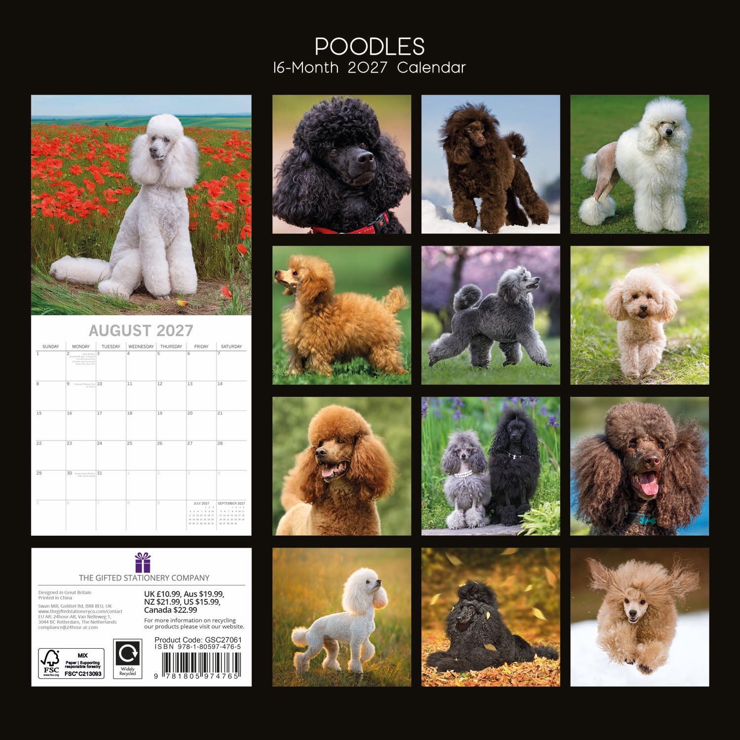 Animals_Dogs_Poodles_2027_Back.jpg