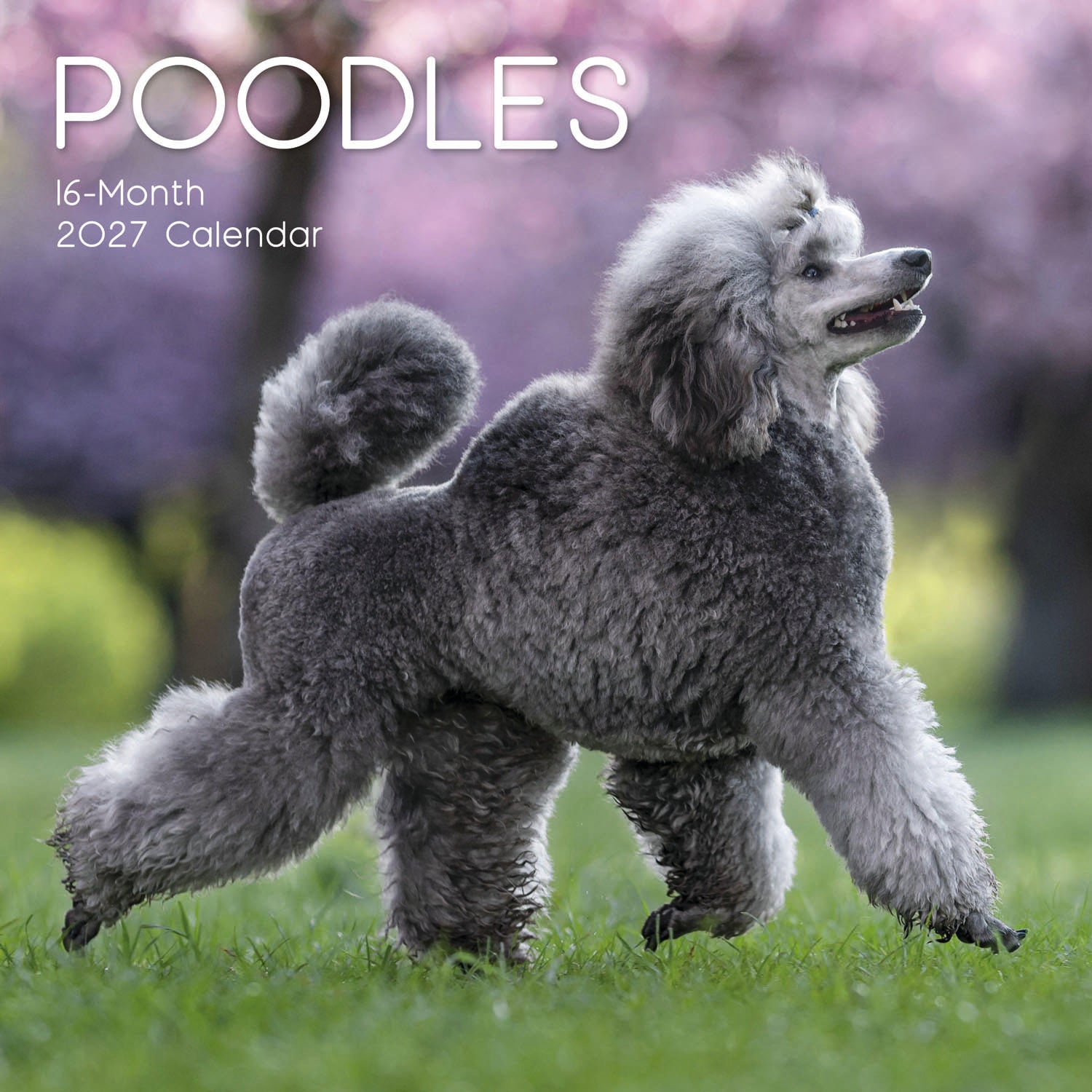 Animals_Dogs_Poodles_2027_Cover.jpg