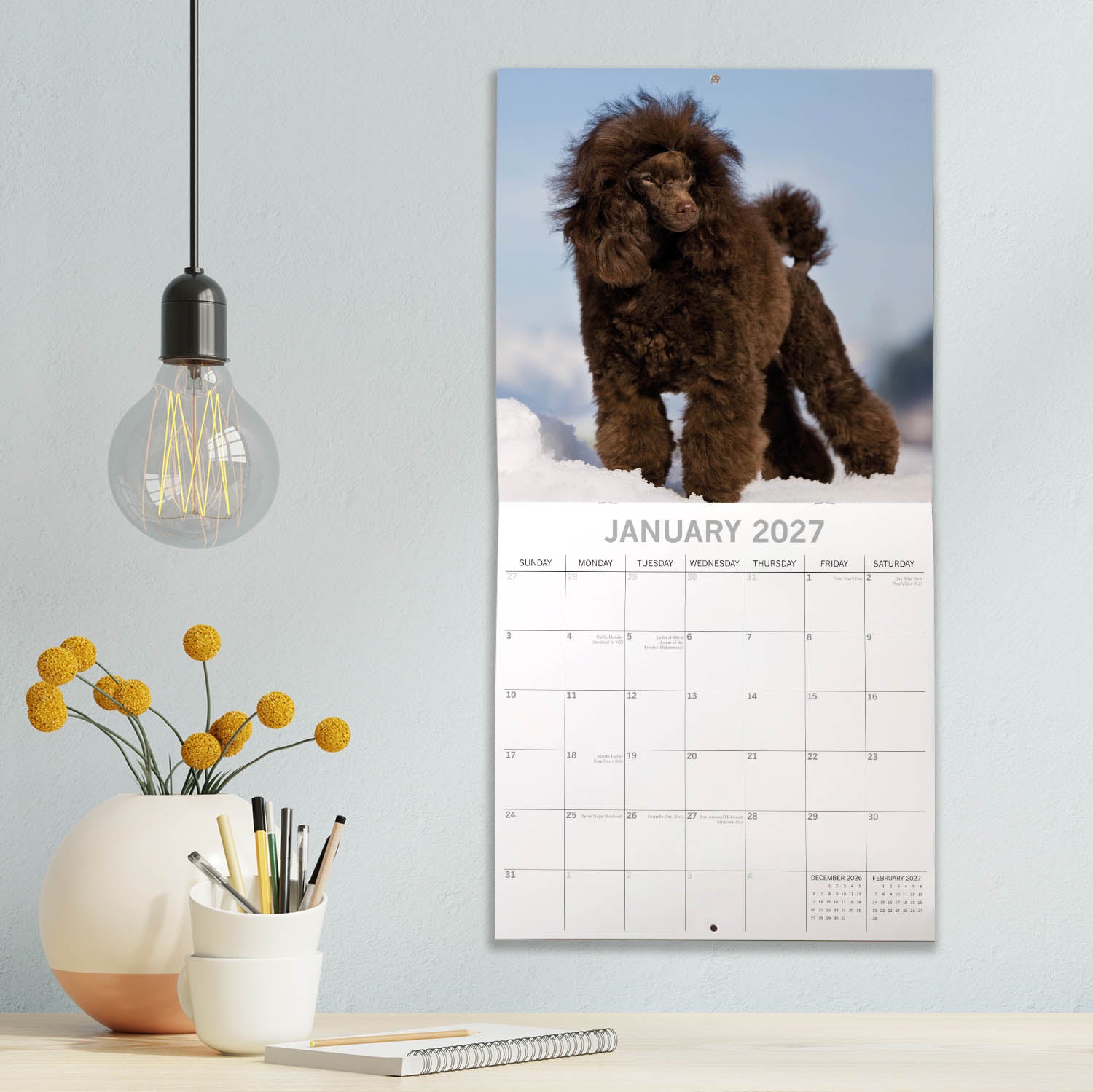 Animals_Dogs_Poodles_2027_Jan_LS.jpg