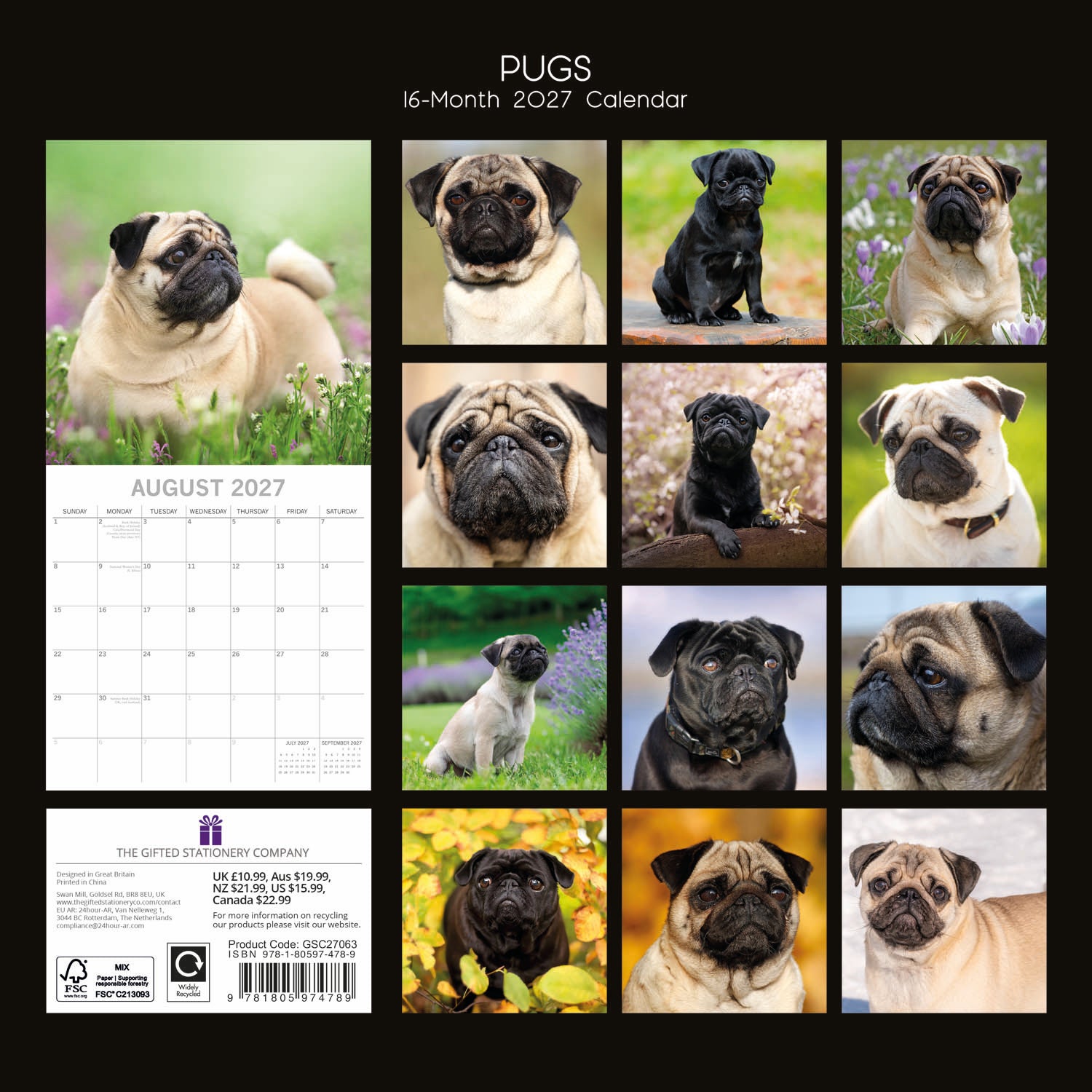 Animals_Dogs_Pugs_2027_Back.jpg