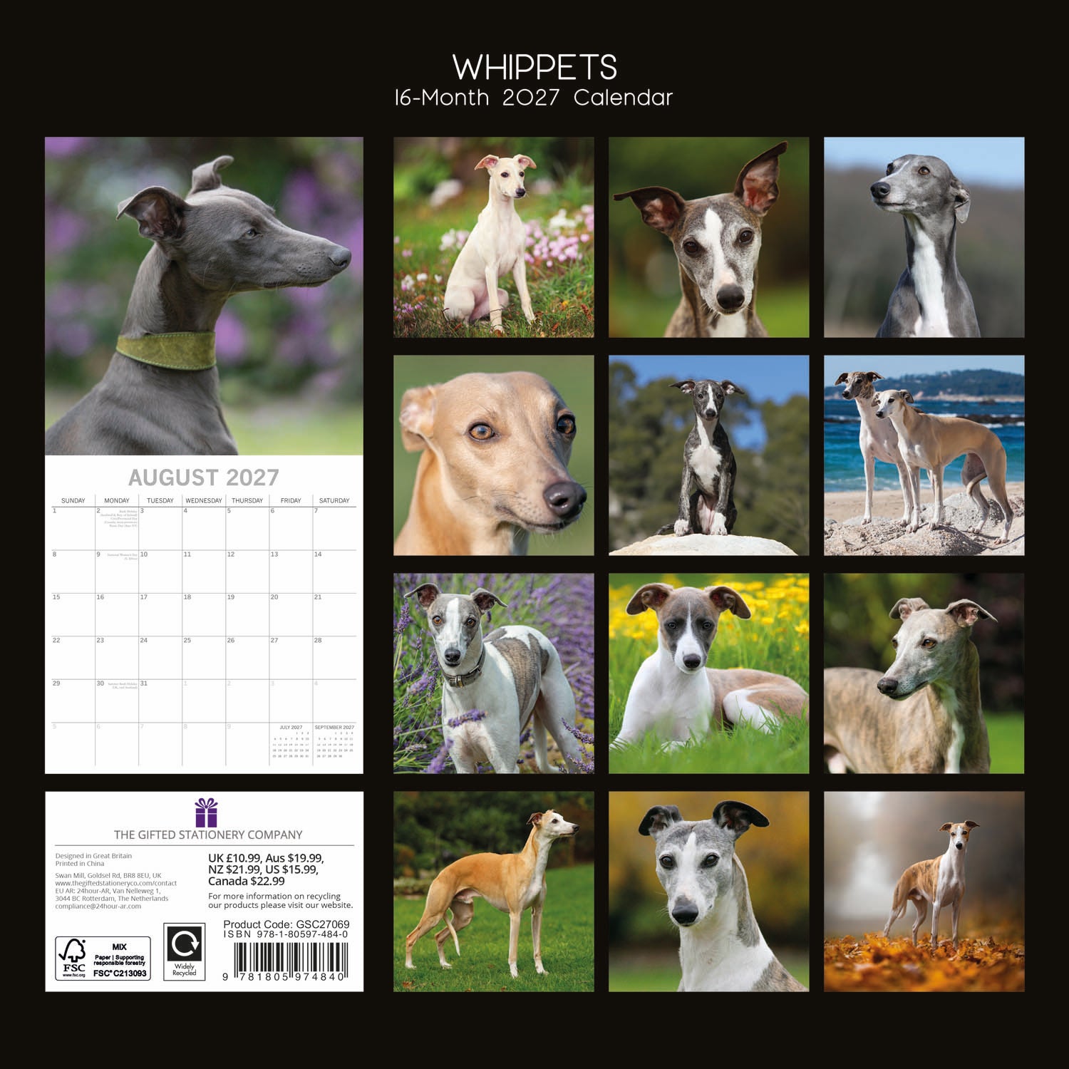 Animals_Dogs_Whippets_2027_Back.jpg