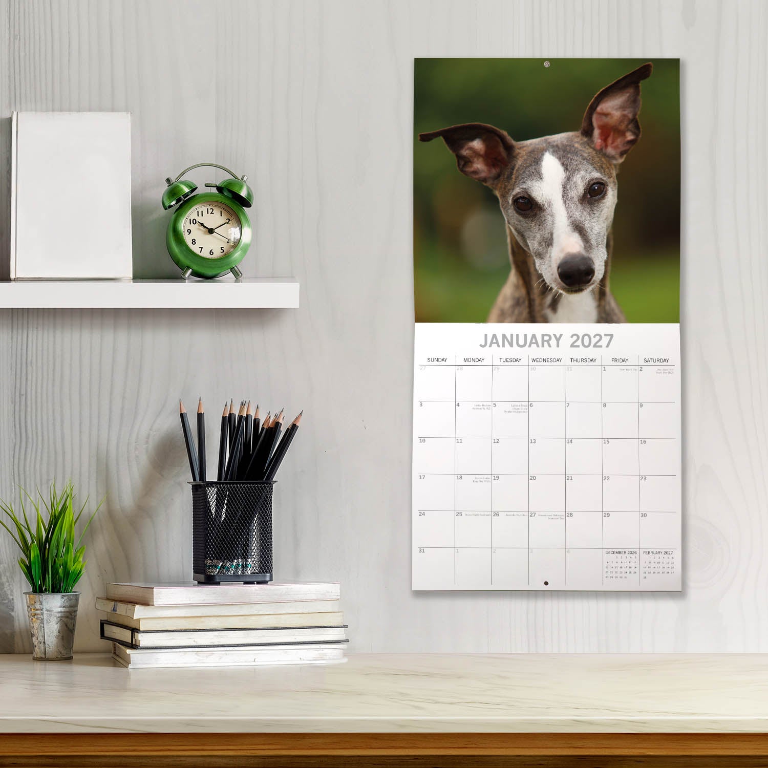 Animals_Dogs_Whippets_2027_Jan_LS.jpg