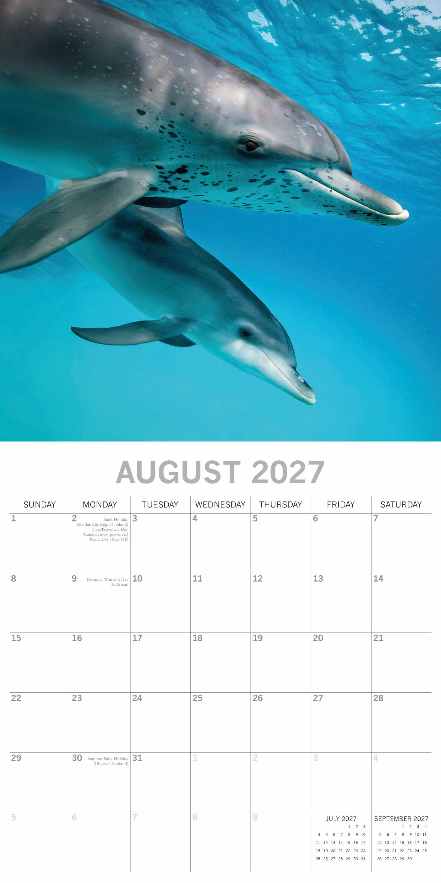 Animals_Dolphins_2027_Aug.jpg