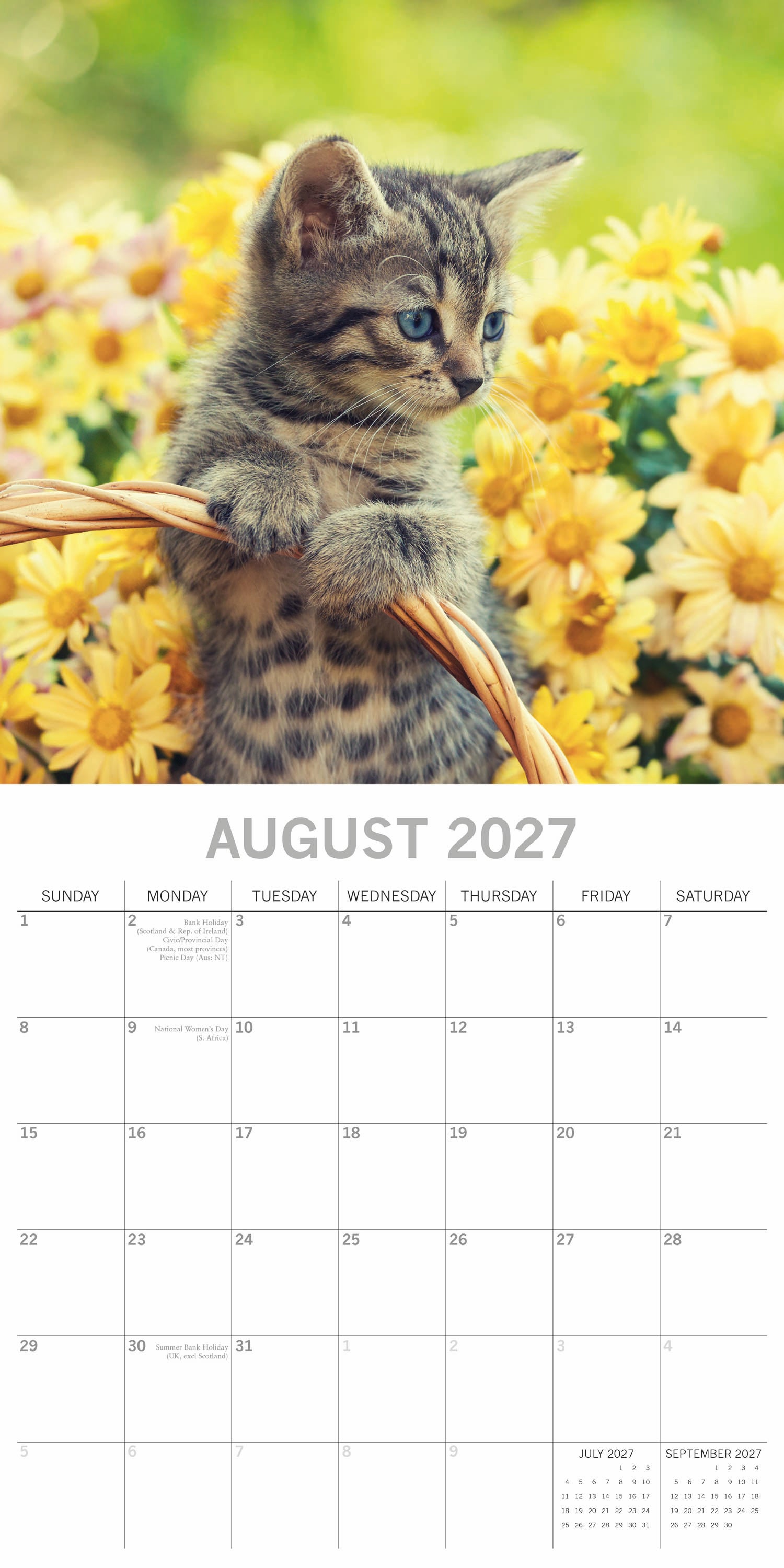 Animals_Kitten_Love_2027_Aug.jpg