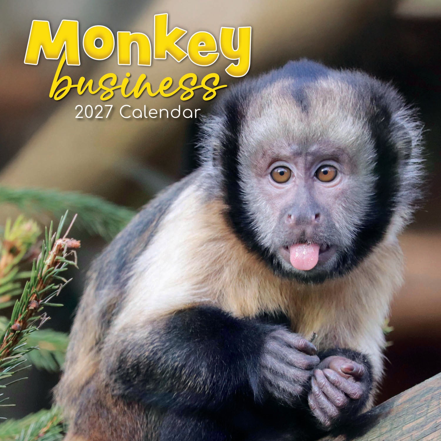 Animals_Monkey_Buisness_2027_Cover.jpg