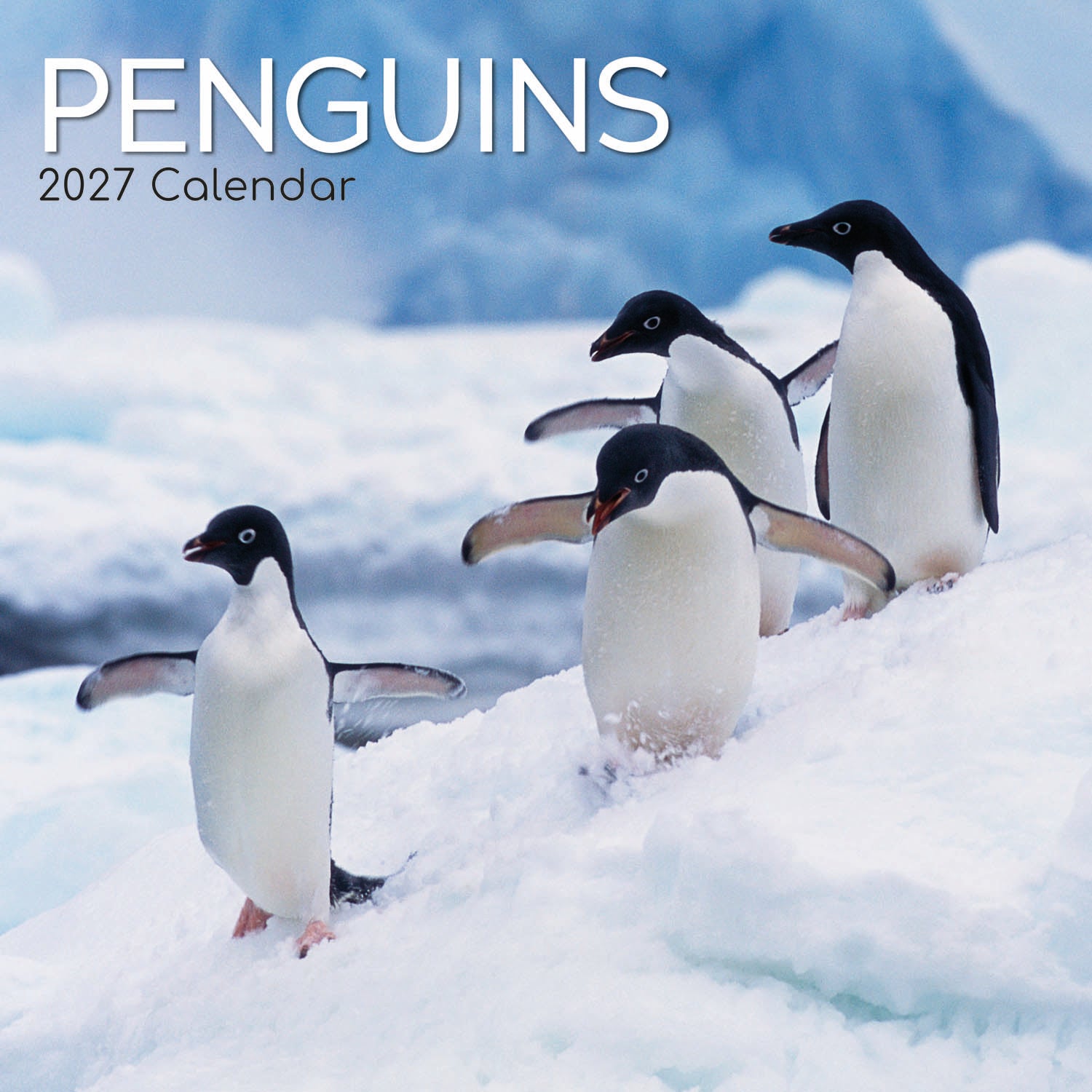 Animals_Penguins_2027_Cover.jpg