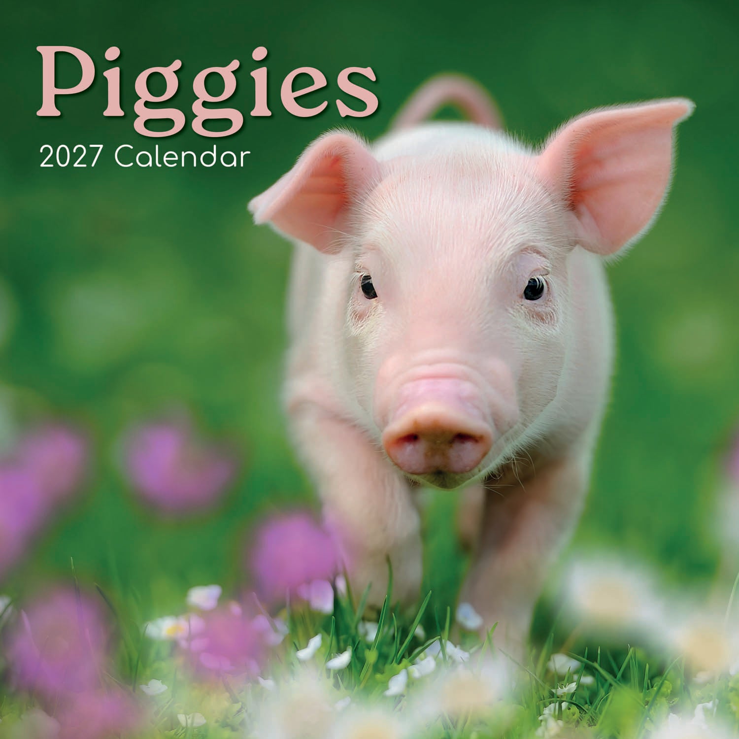 Animals_Piggies_2027_Cover.jpg