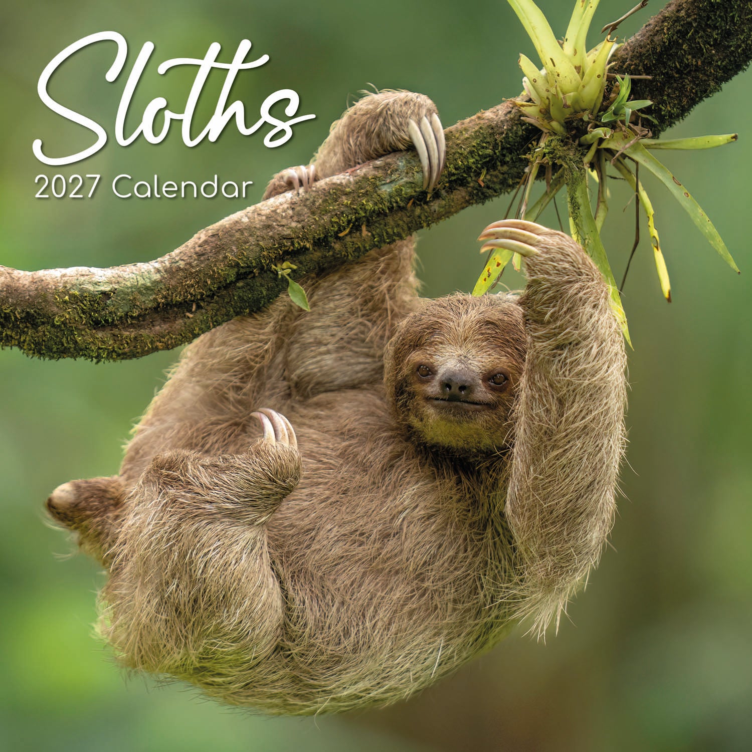 Animals_Sloths_2027_Cover.jpg