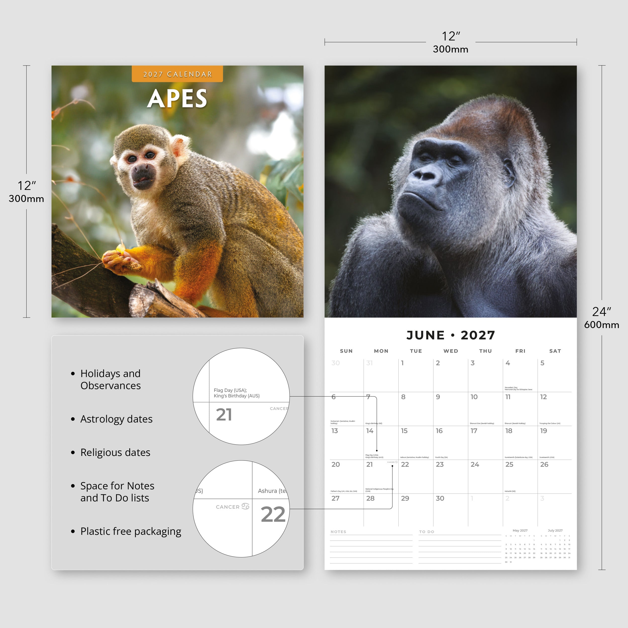 2027 Apes - Square Wall Calendar