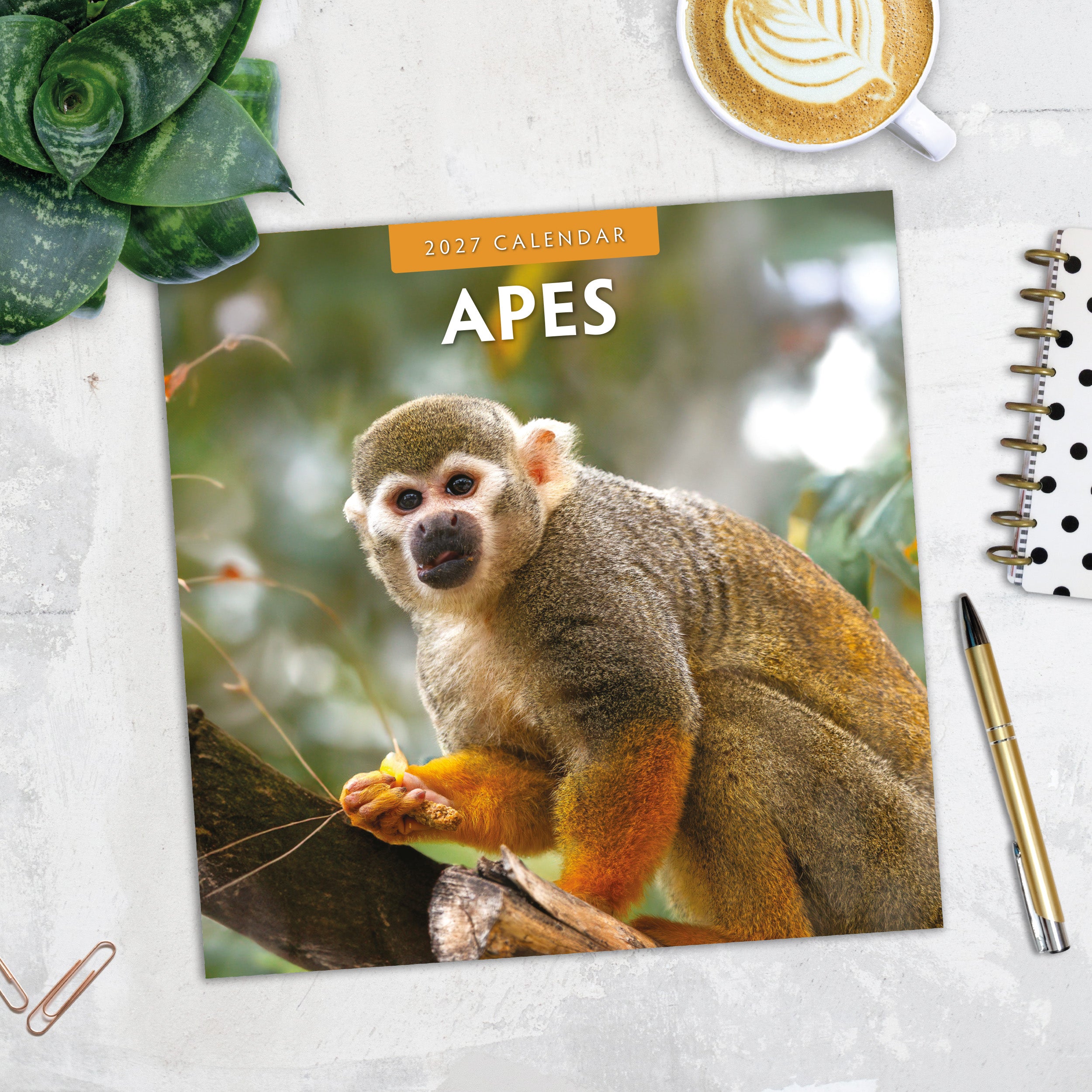 2027 Apes - Square Wall Calendar