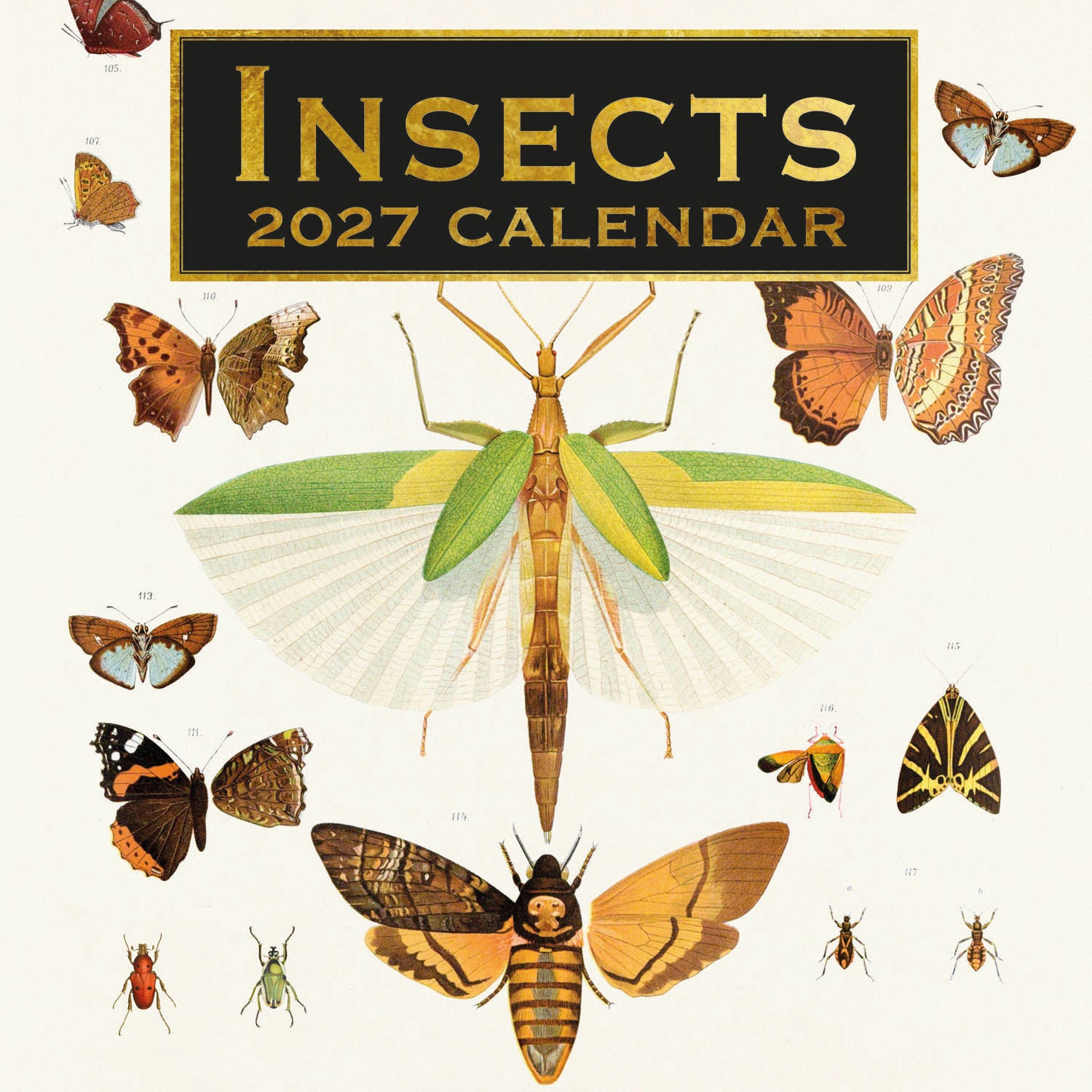 Arts_Insects_2027_Cover.jpg