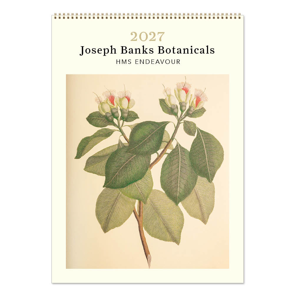 2027 Joseph Banks Botanicals HMS Endeavour - Deluxe Wall Calendar