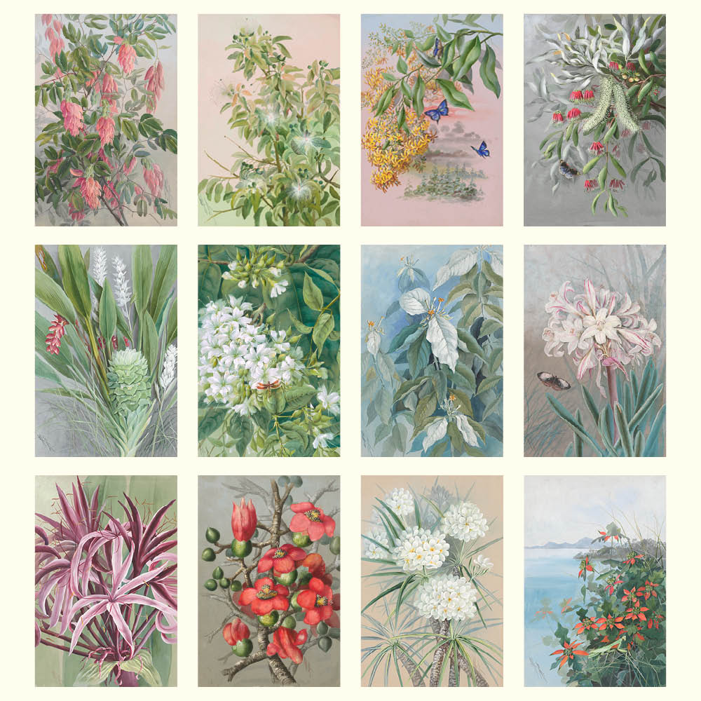 2027 Ellis Rowan Flowers - Desk Easel Calendar