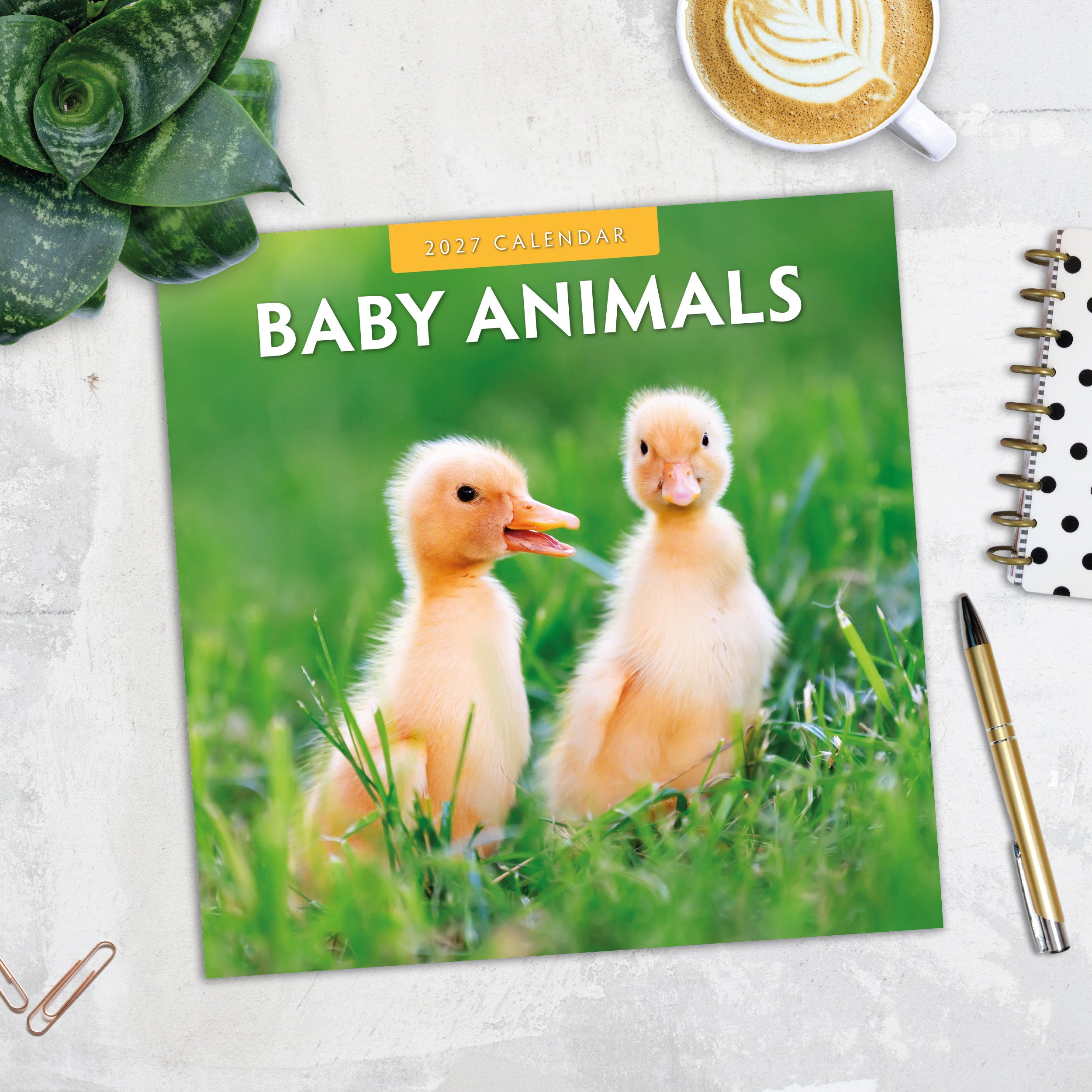 2027 Baby Animals - Square Wall Calendar