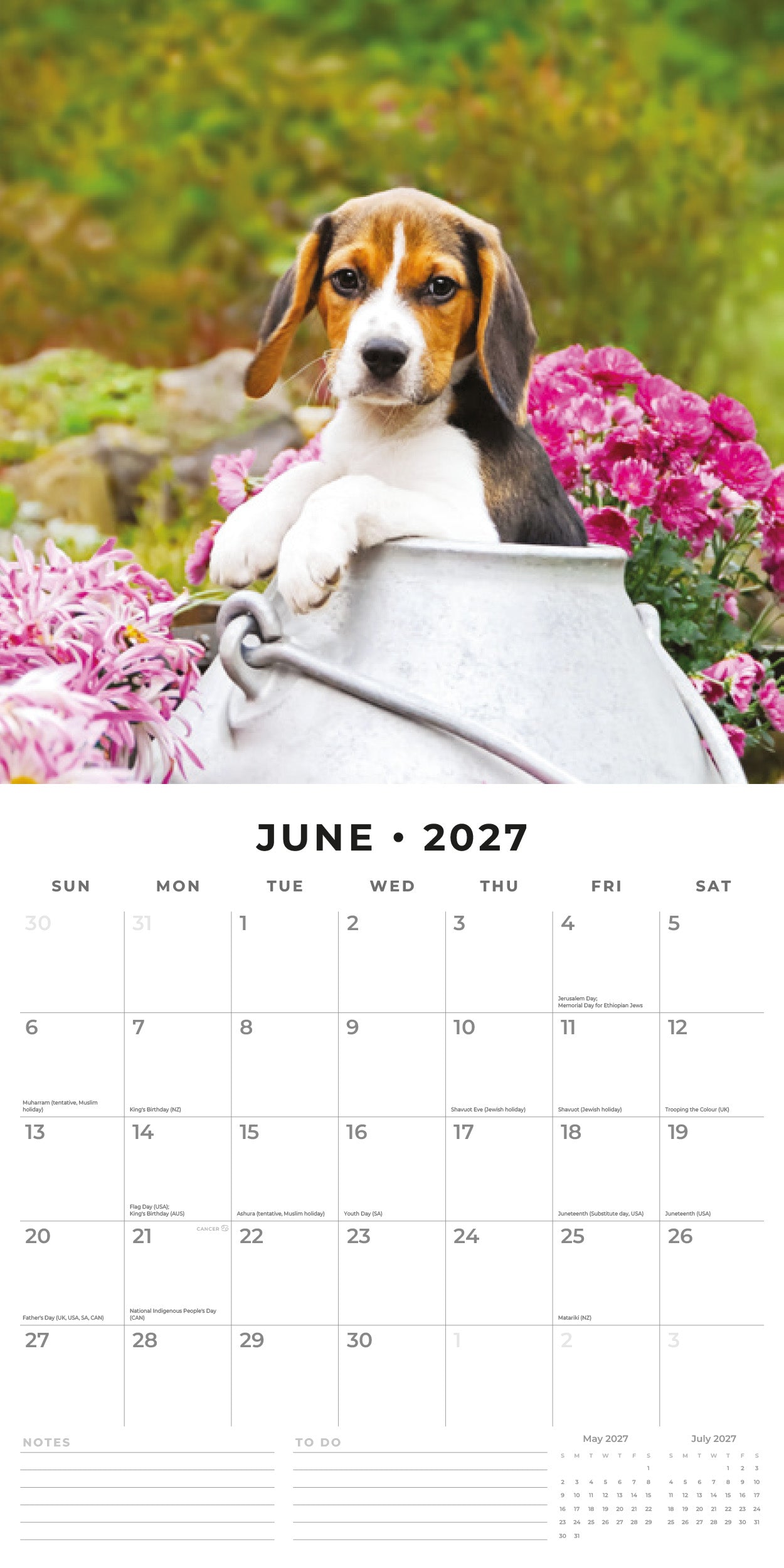 2027 Beagles - Square Wall Calendar