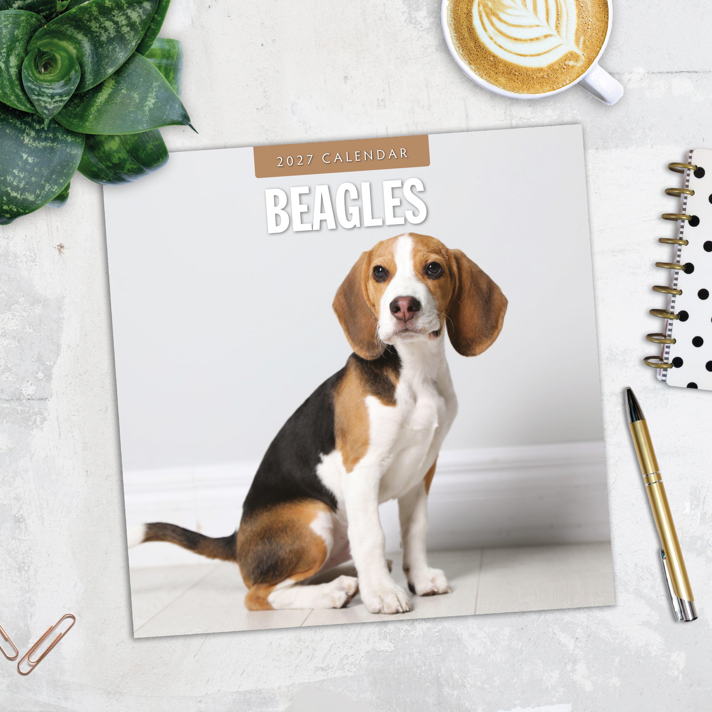 2027 Beagles - Square Wall Calendar