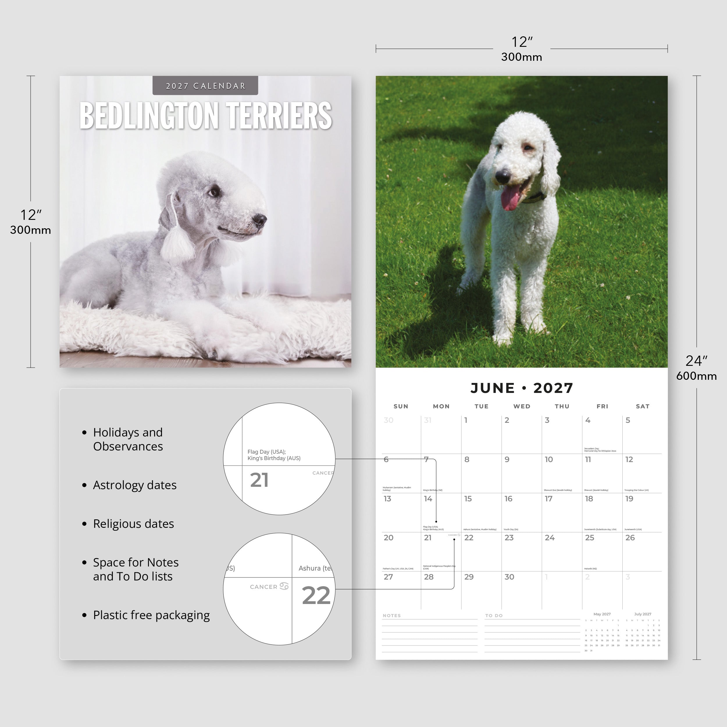 2027 Bedlington Terriers - Square Wall Calendar