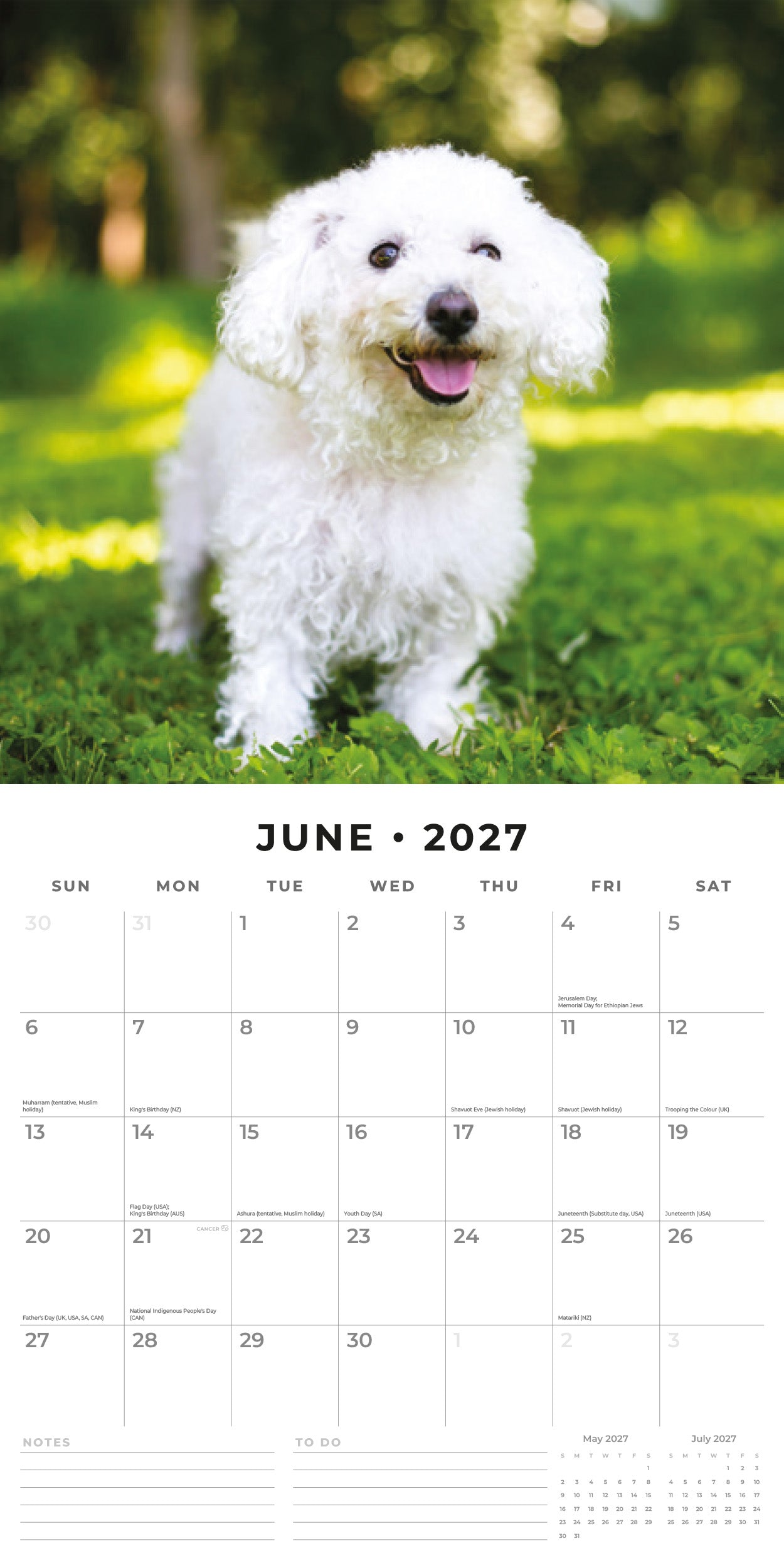 2027 Bichons Frises - Square Wall Calendar