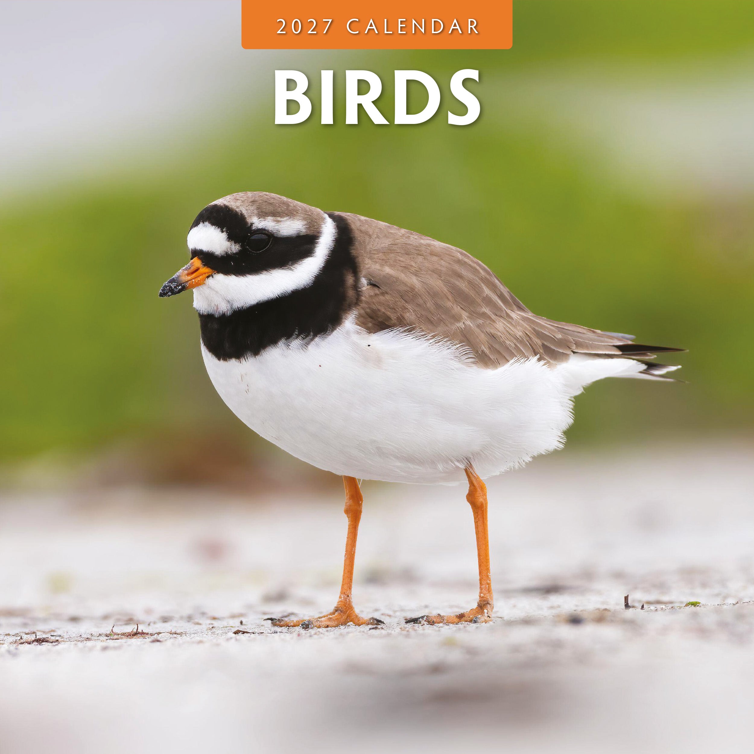 2027 Birds - Square Wall Calendar