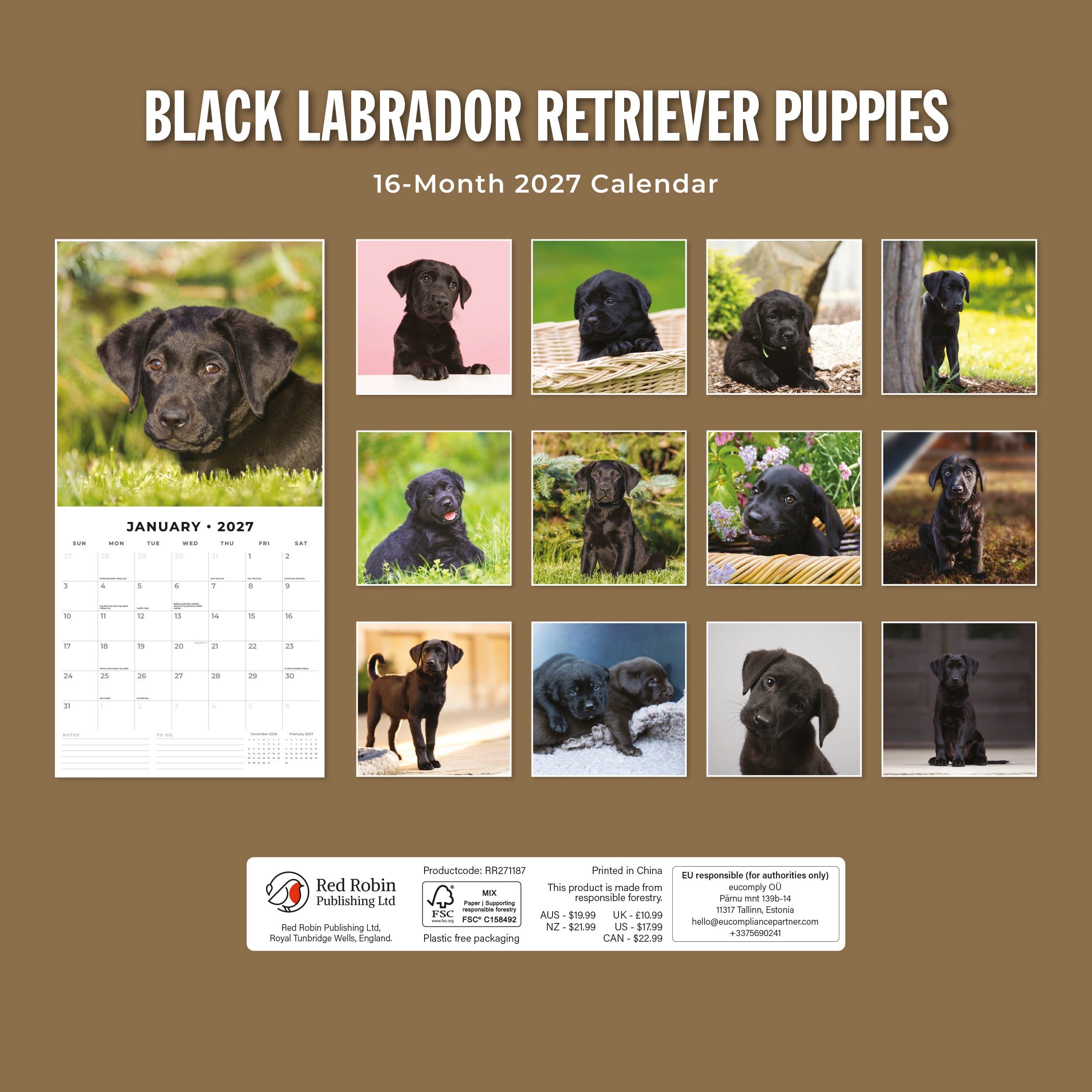 2027 Black Labrador Retriever Puppies - Square Wall Calendar
