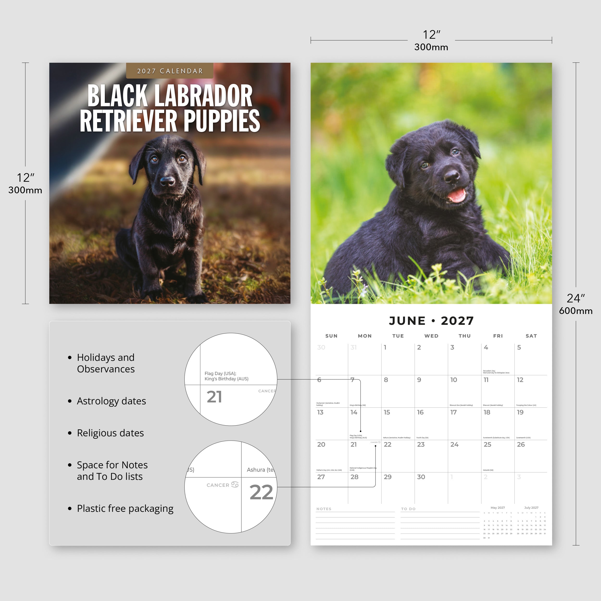 2027 Black Labrador Retriever Puppies - Square Wall Calendar