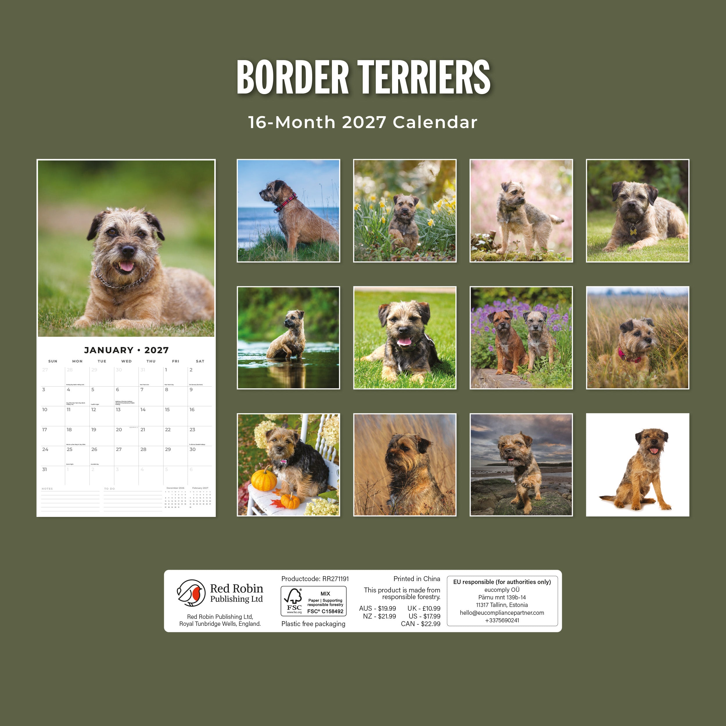 2027 Border Terriers - Square Wall Calendar