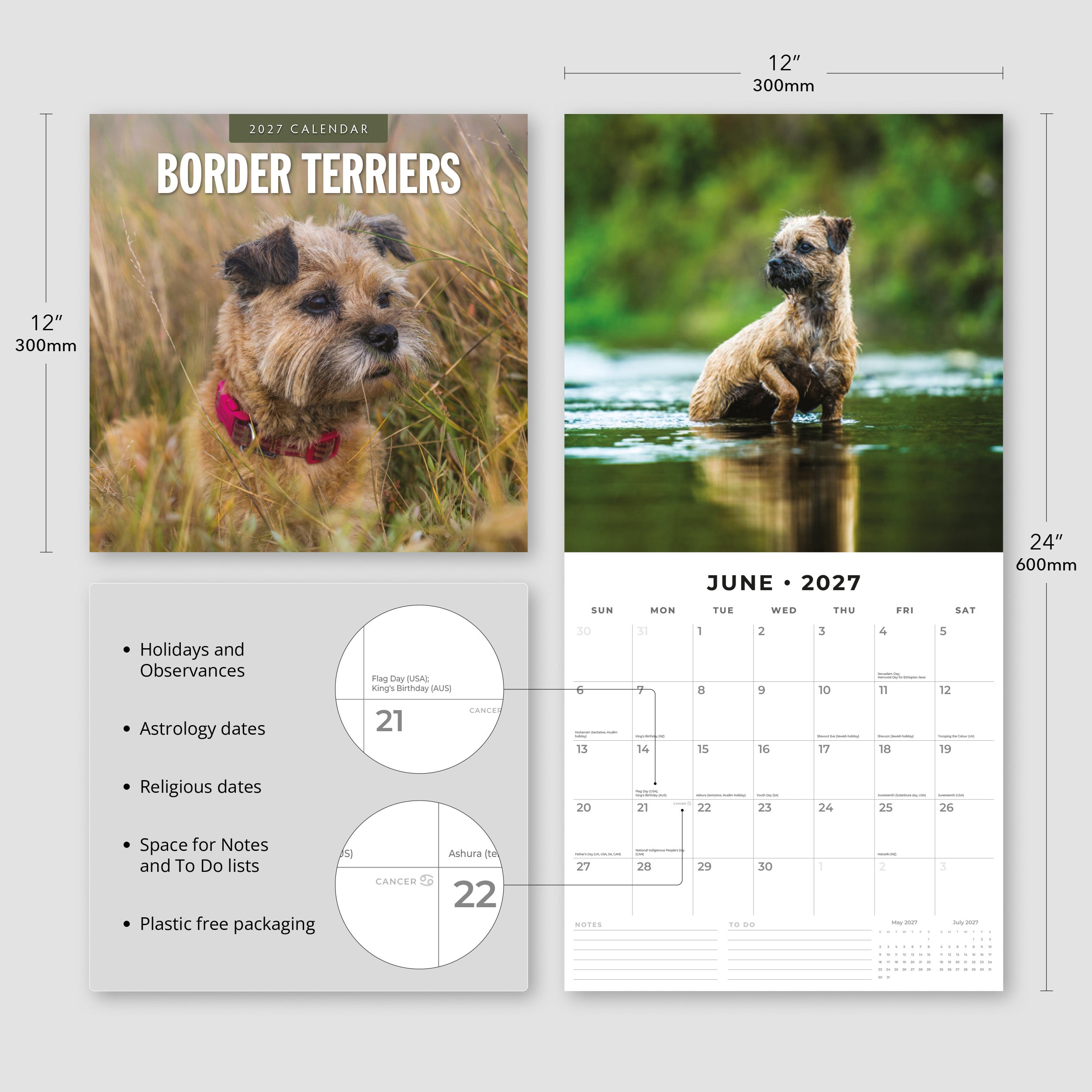 2027 Border Terriers - Square Wall Calendar