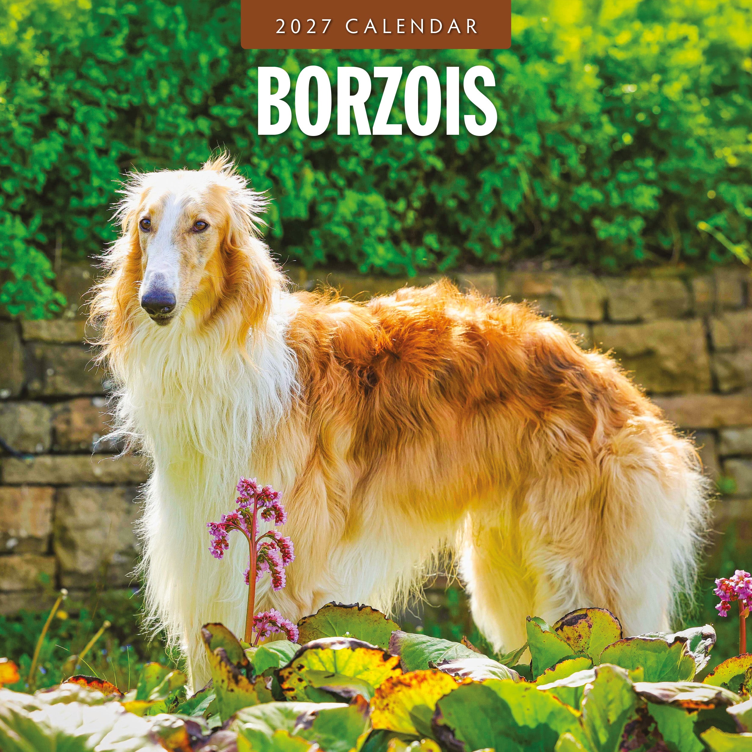 2027 Borzois - Square Wall Calendar