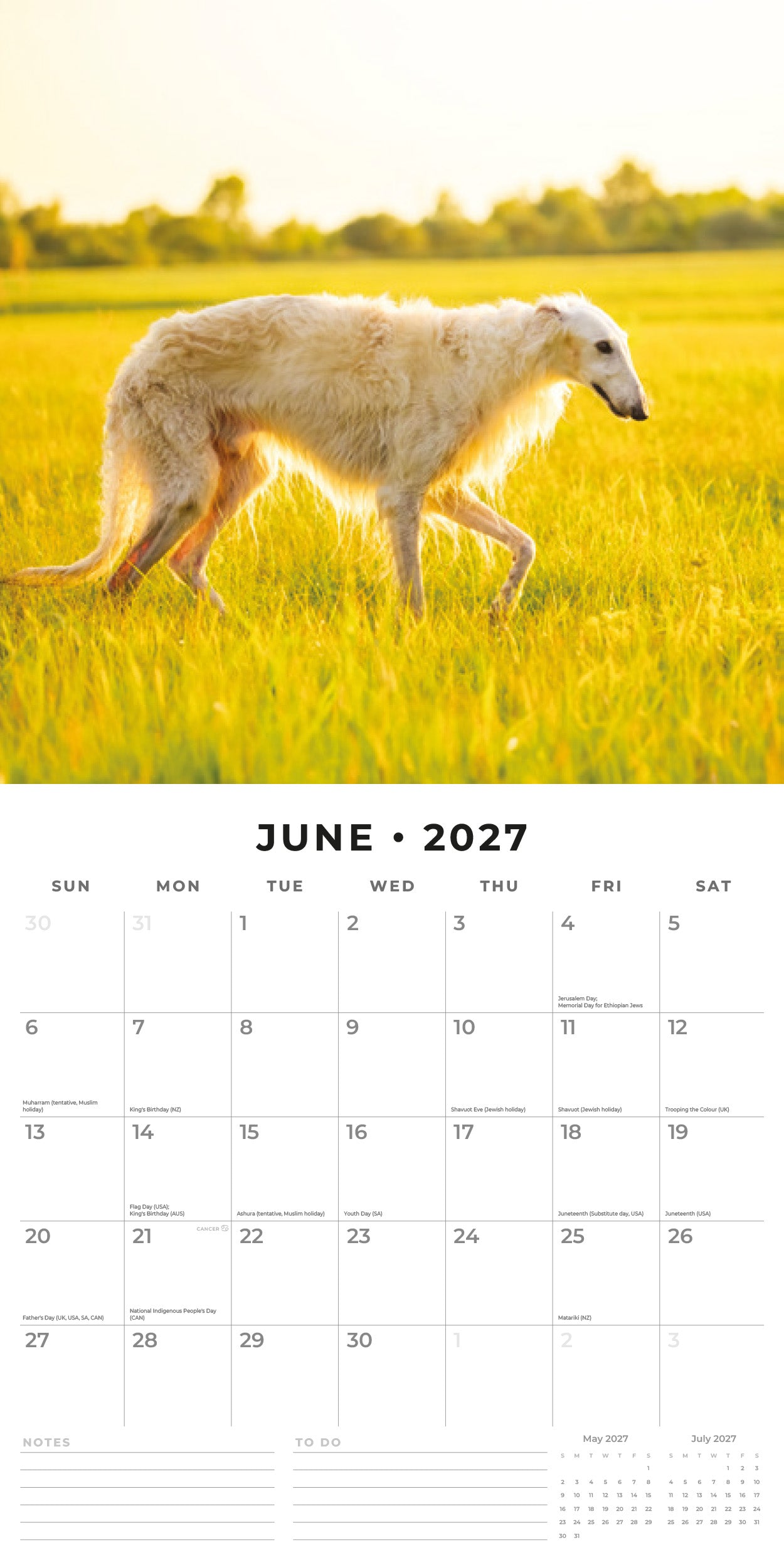 2027 Borzois - Square Wall Calendar
