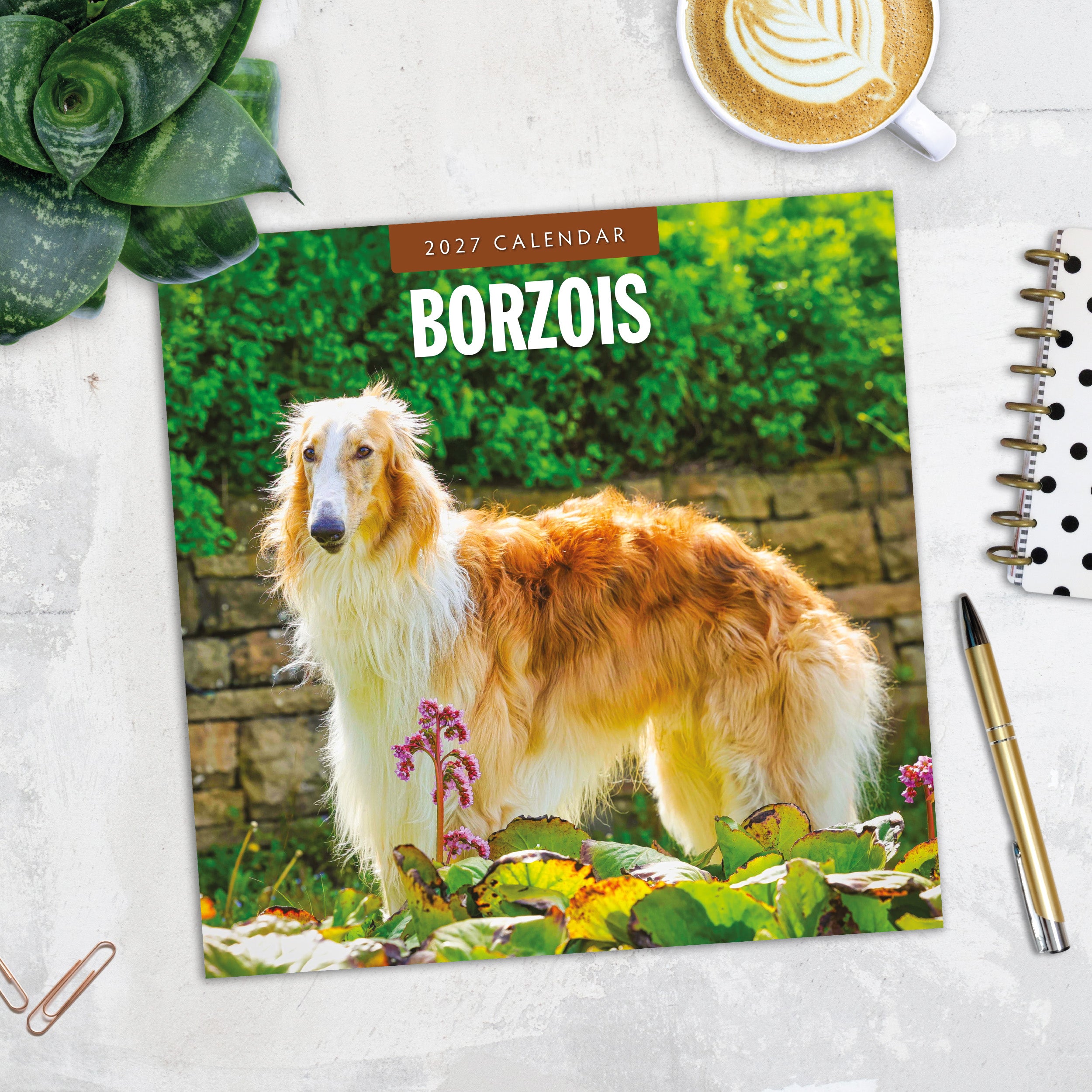 2027 Borzois - Square Wall Calendar