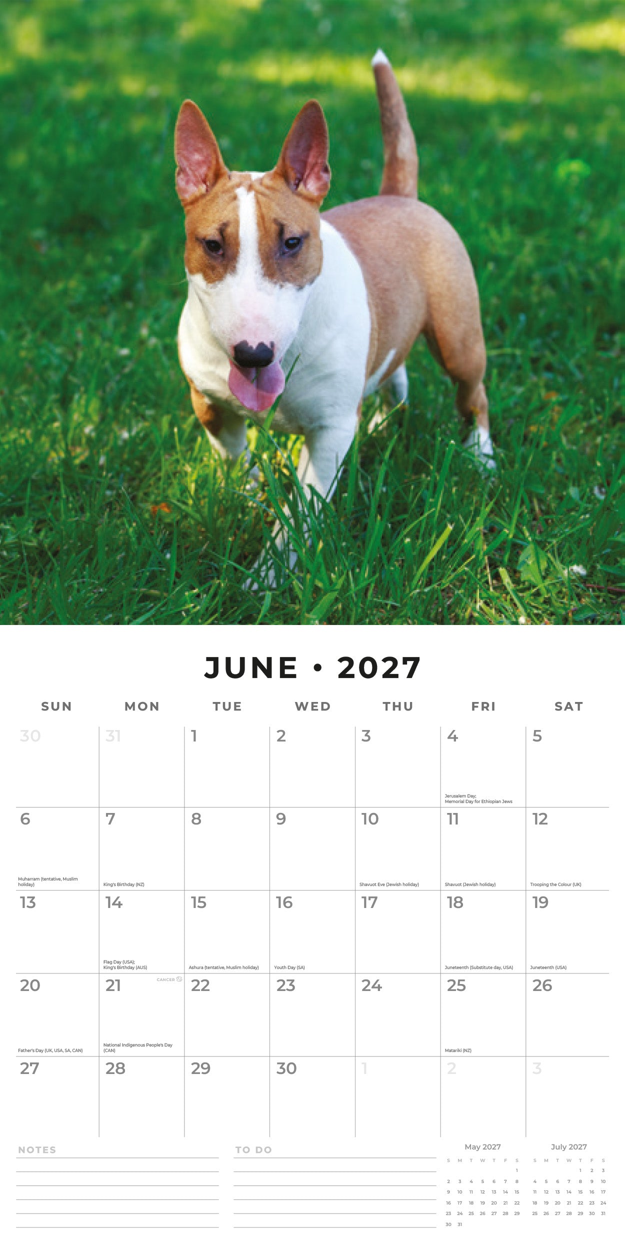 2027 Bull Terriers - Square Wall Calendar