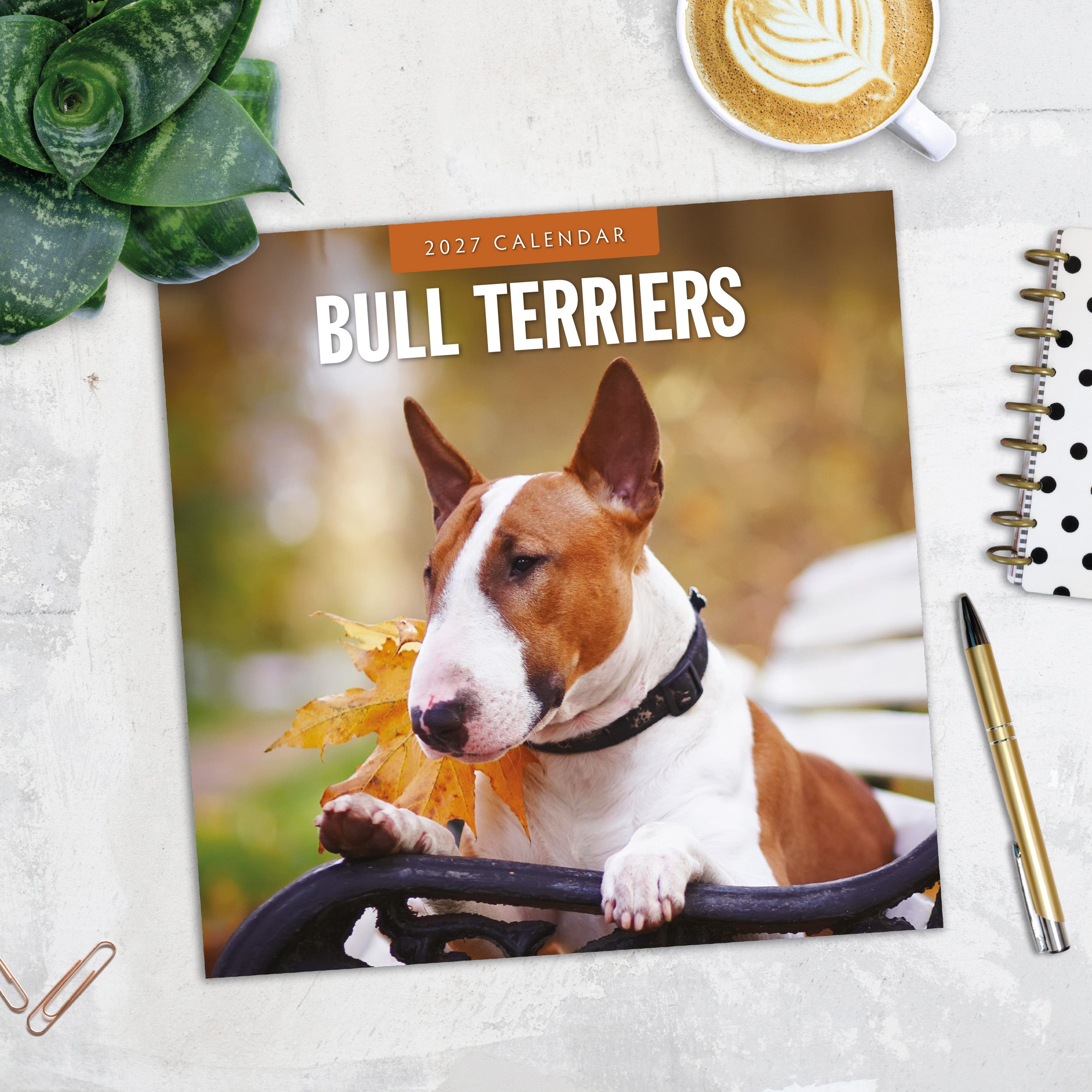 2027 Bull Terriers - Square Wall Calendar