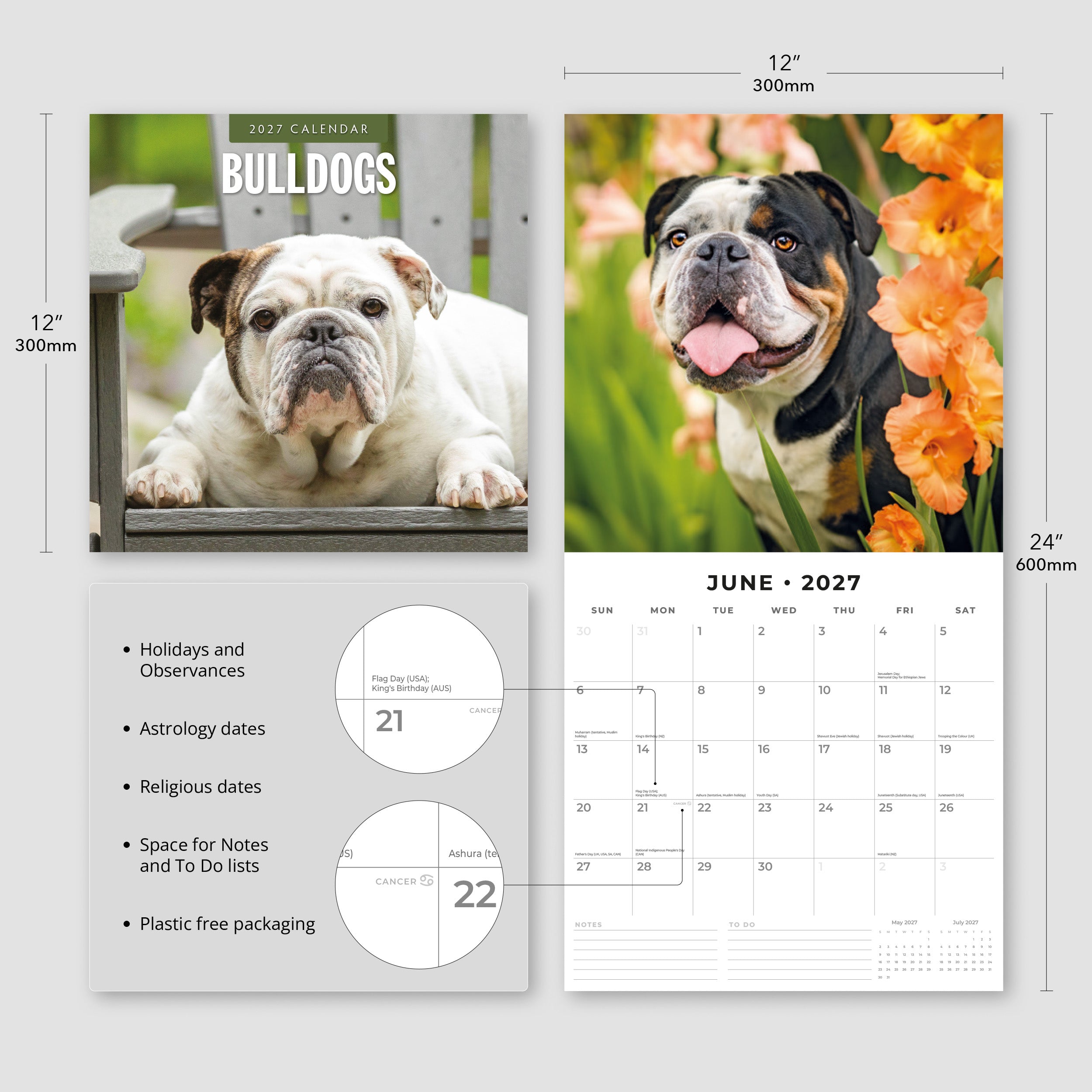 2027 Bulldogs - Square Wall Calendar