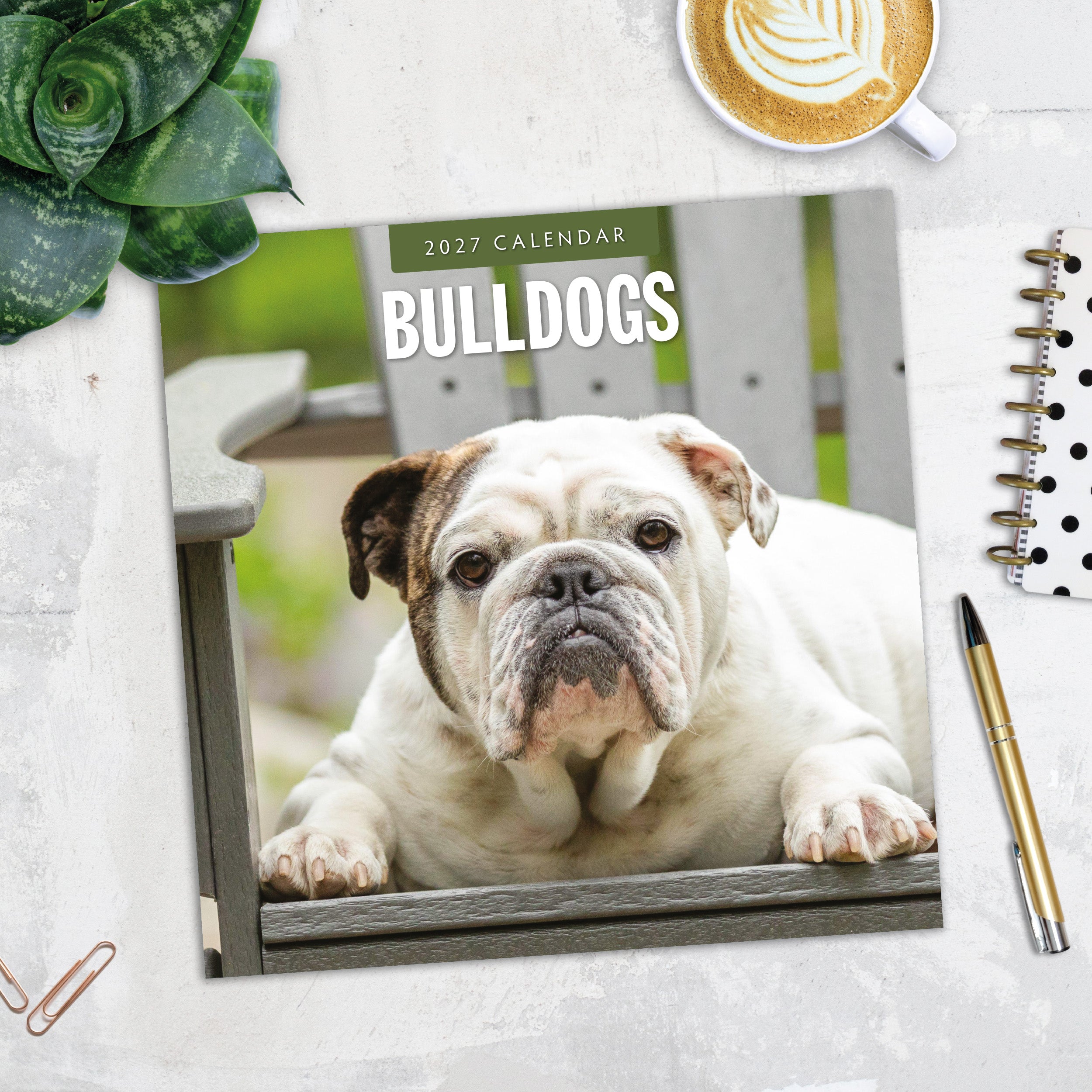 2027 Bulldogs - Square Wall Calendar