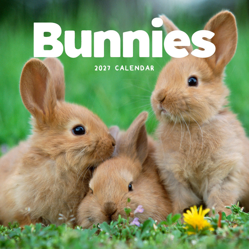 2027 Bunnies  - Square Wall Calendar