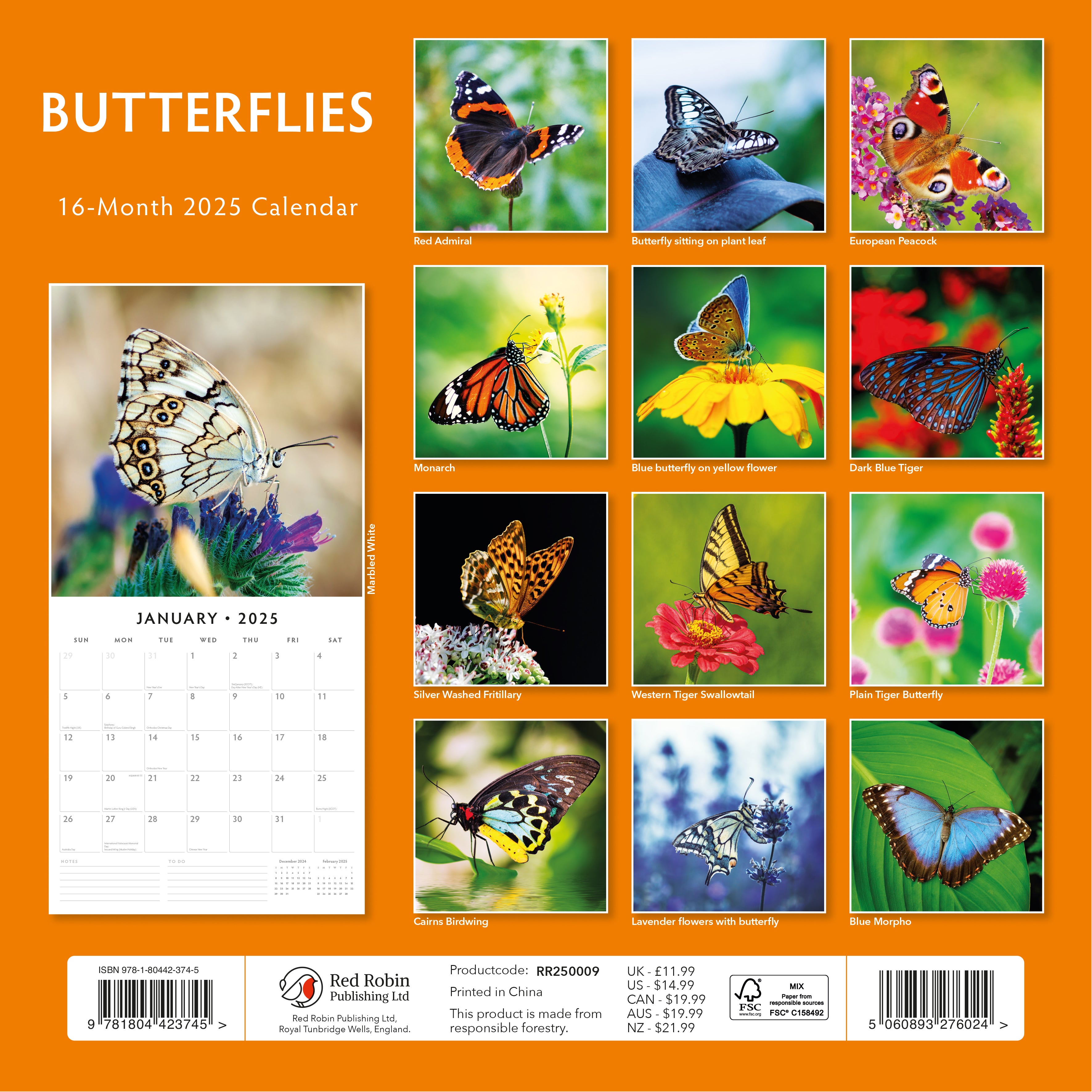 2025 Butterflies - Square Wall Calendar