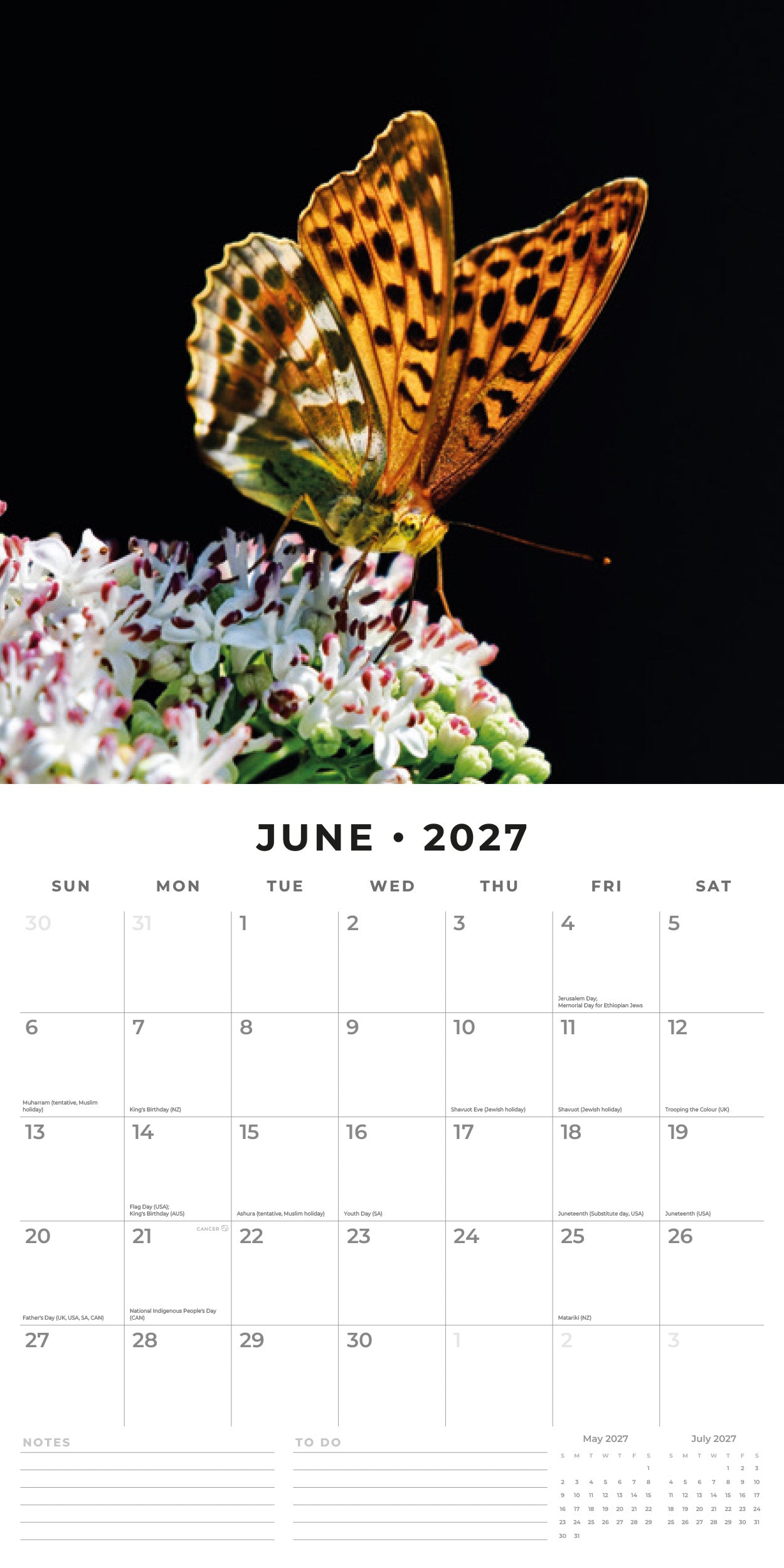 Butterflies-spr.jpg