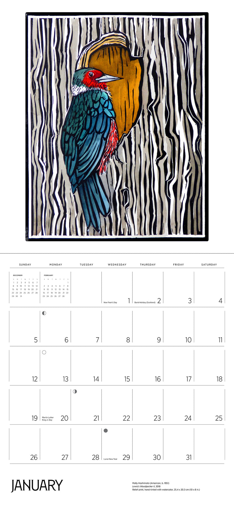 2025 Molly Hashimoto: Birds - Square Wall Calendar