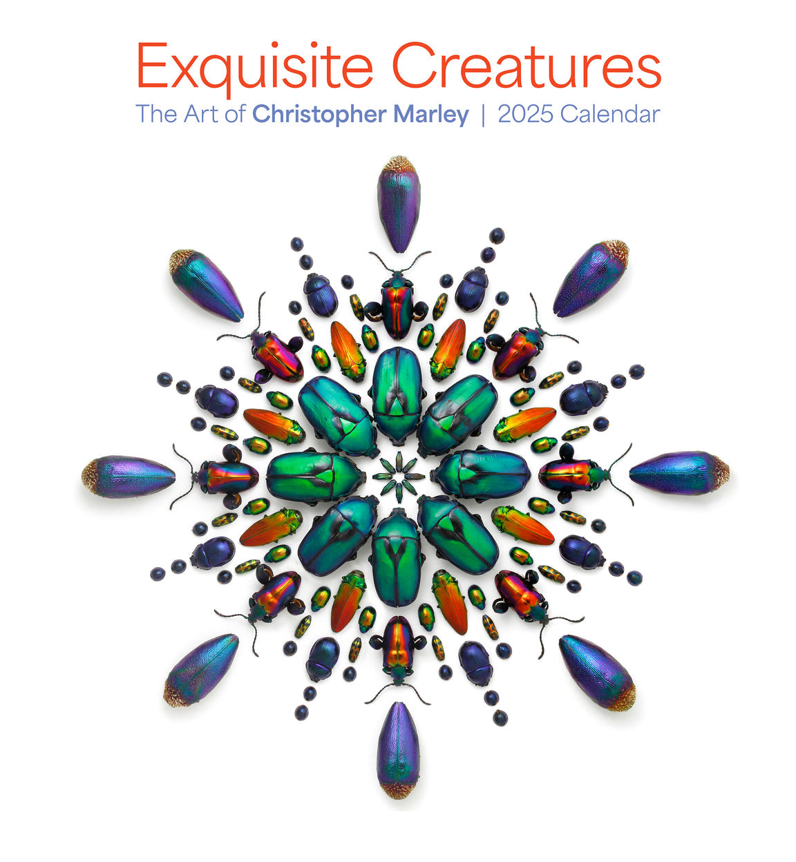 2025 Exquisite Creatures: The Art Of Christopher Marley - Square Wall Calendar